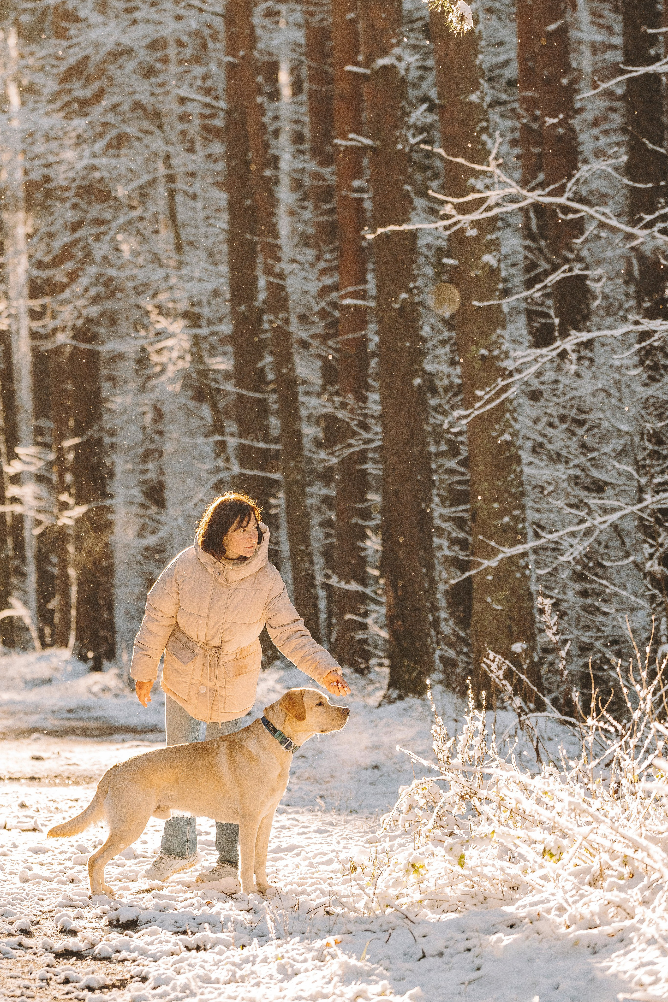 Аня и Честер. Фотограф анималист в Спб недорого Олеся Майорова