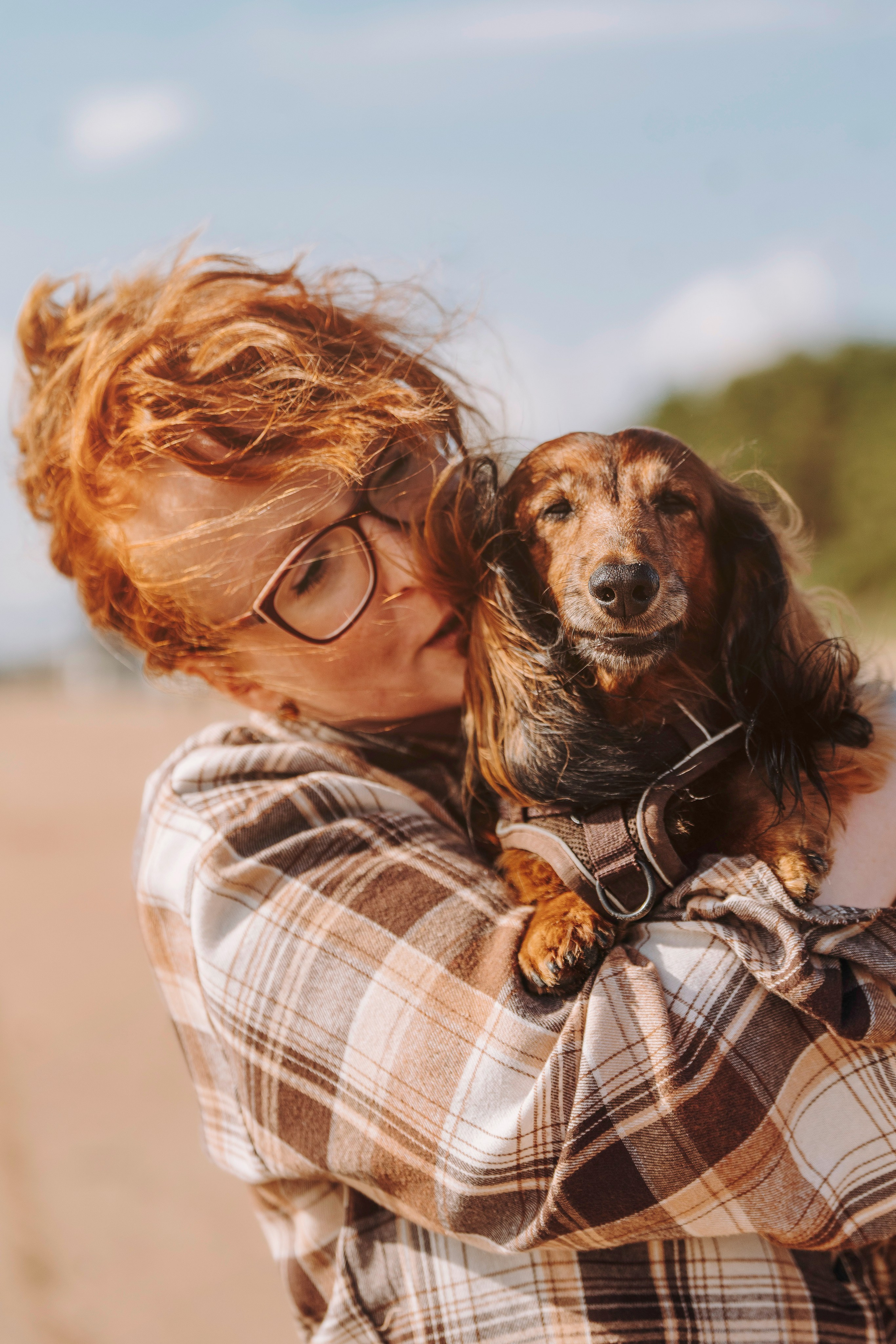 Фотосессия с длиношерстной таксой на пляжн. Фотограф анималист в Спб недорого Олеся Майорова