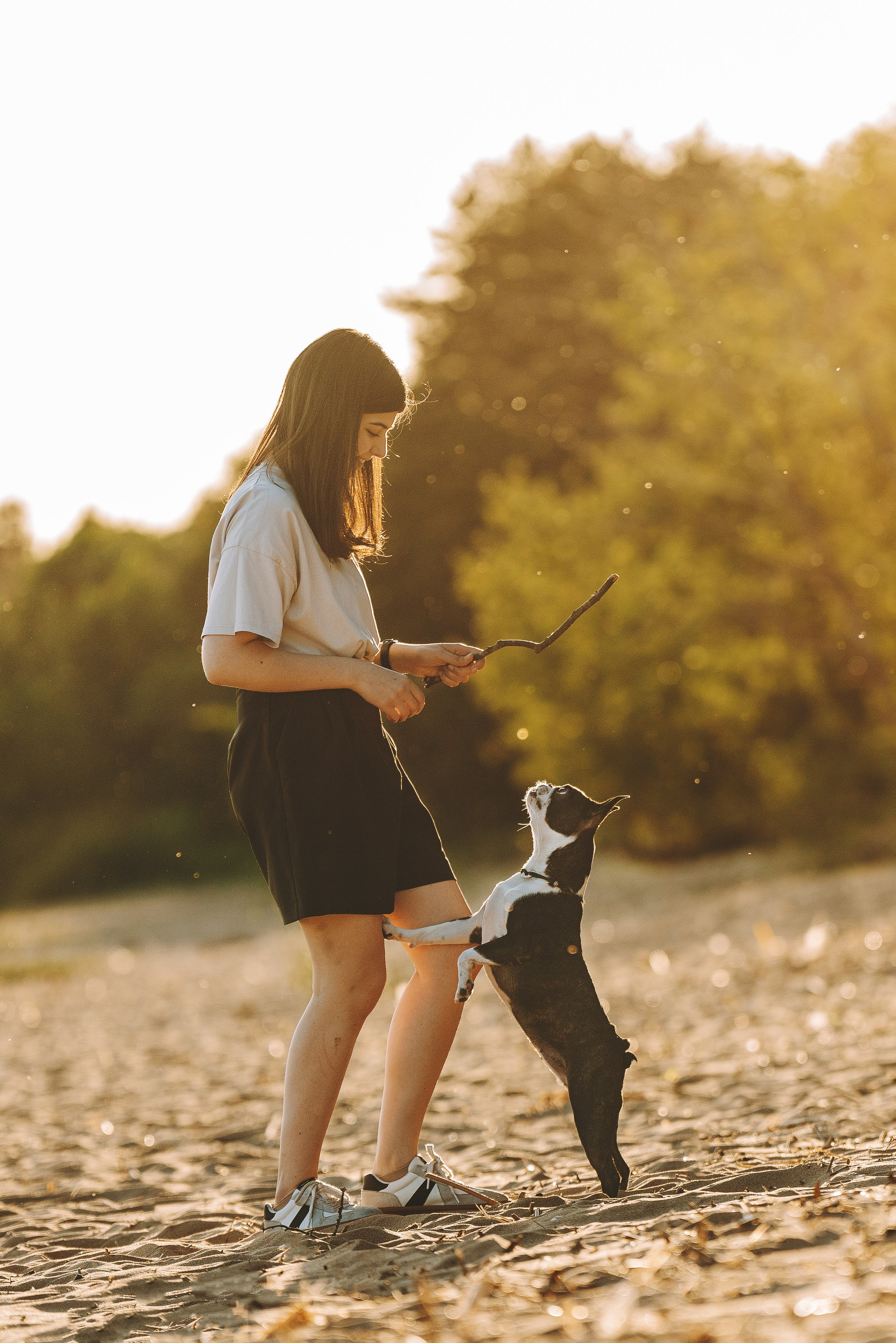 Анаита и Дора. Фотограф анималист в Спб недорого Олеся Майорова