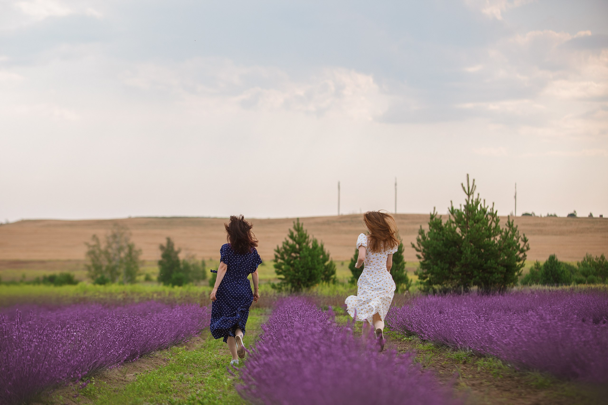 Наташа, Настя и Бест. Фотограф анималист Кузнецова Анна Нижний Новгород