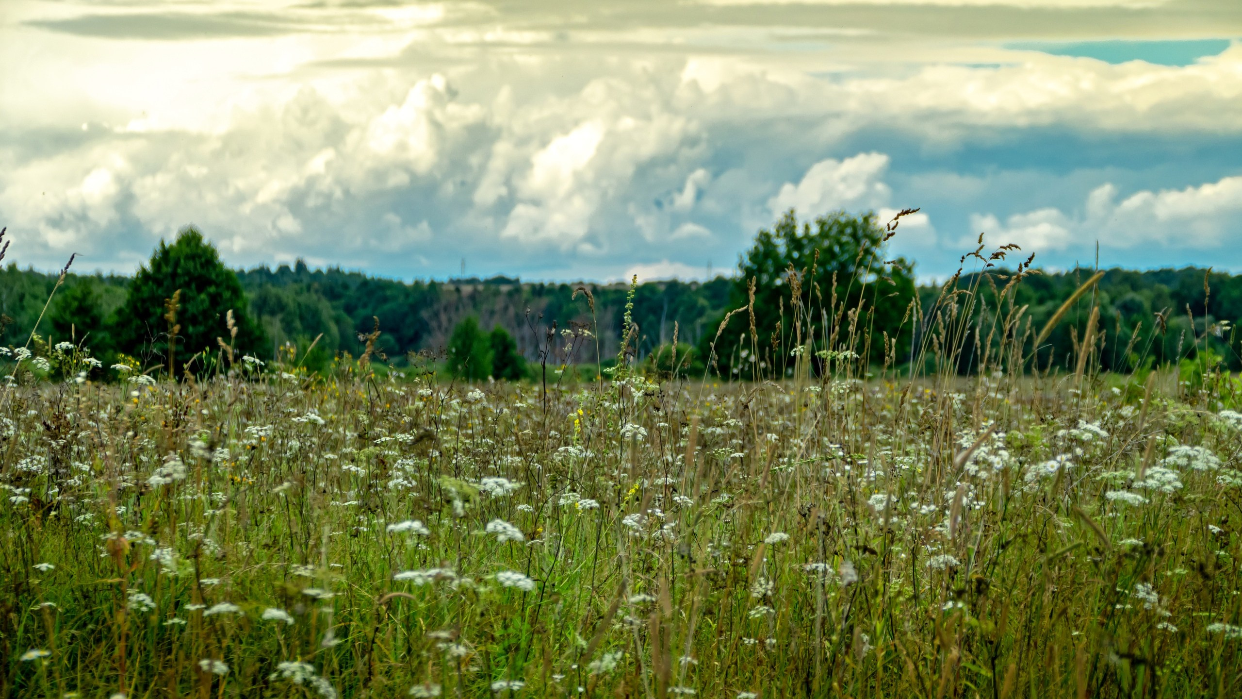 Пейзажная фотосъемка. Владимир Суздалов (ProMaXe) — Портретный фотограф, тематические фотосессии в Чебоксарах