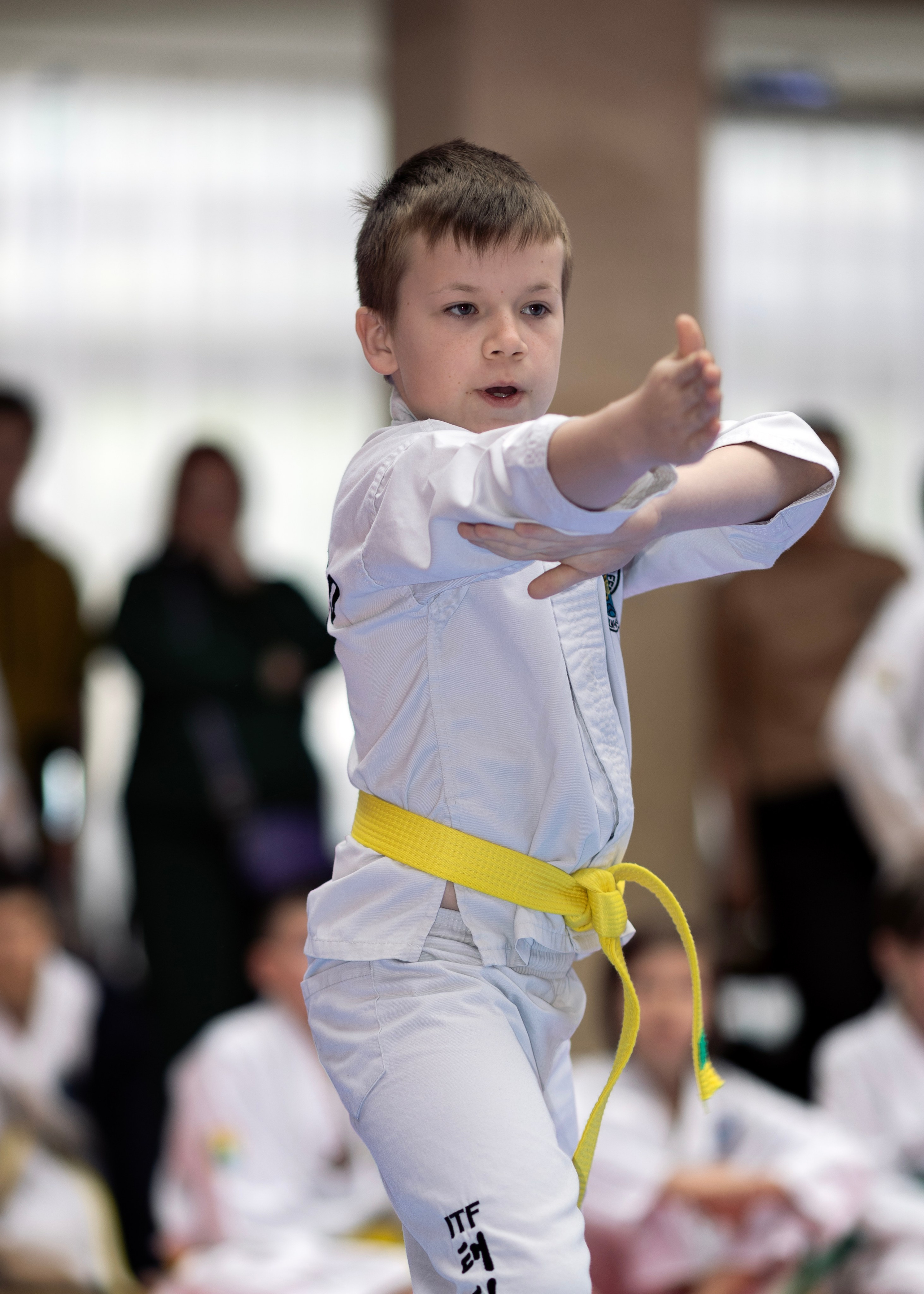 Фото турнира по Тхеквондо, проводимого в г. Железноводске. Медиапродюсер, фотограф в Минеральных Водах —Виктор Холодов