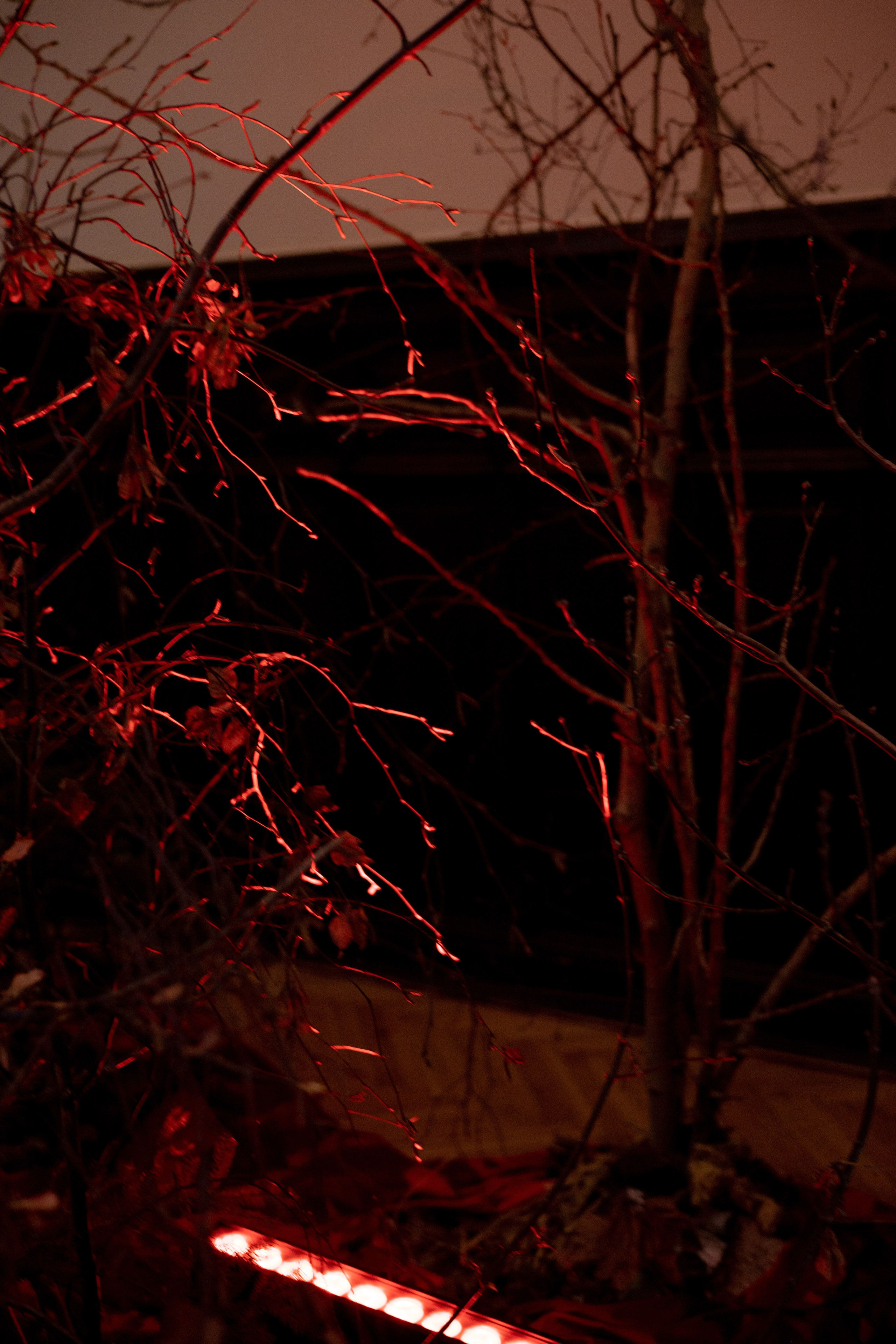 Новогодний корпоратив в фольклорном стиле. Особняк Лемана. Оформление свадеб, декор свадеб Вера Маркова, Москва