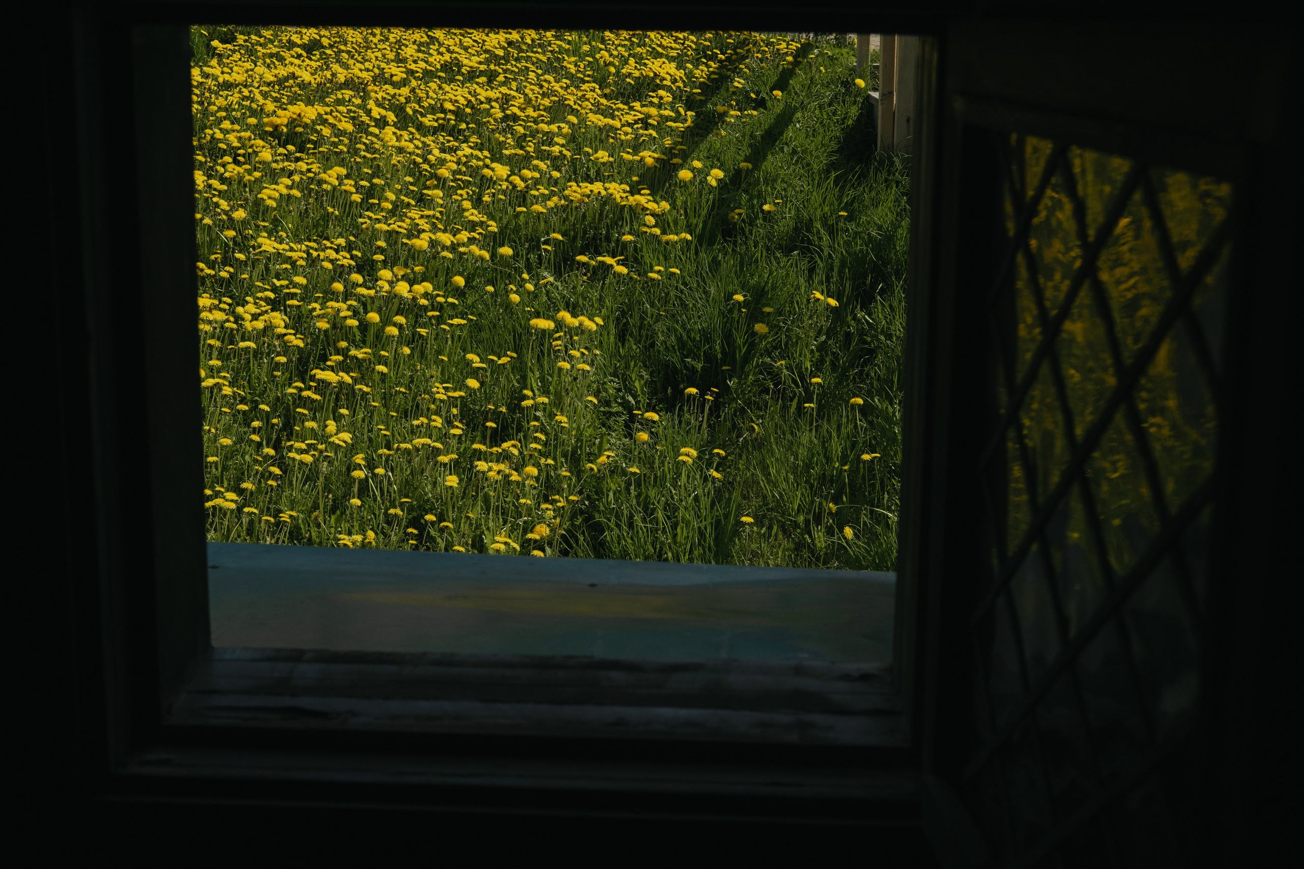 Карелия и Соловецкие острова. Обо мне