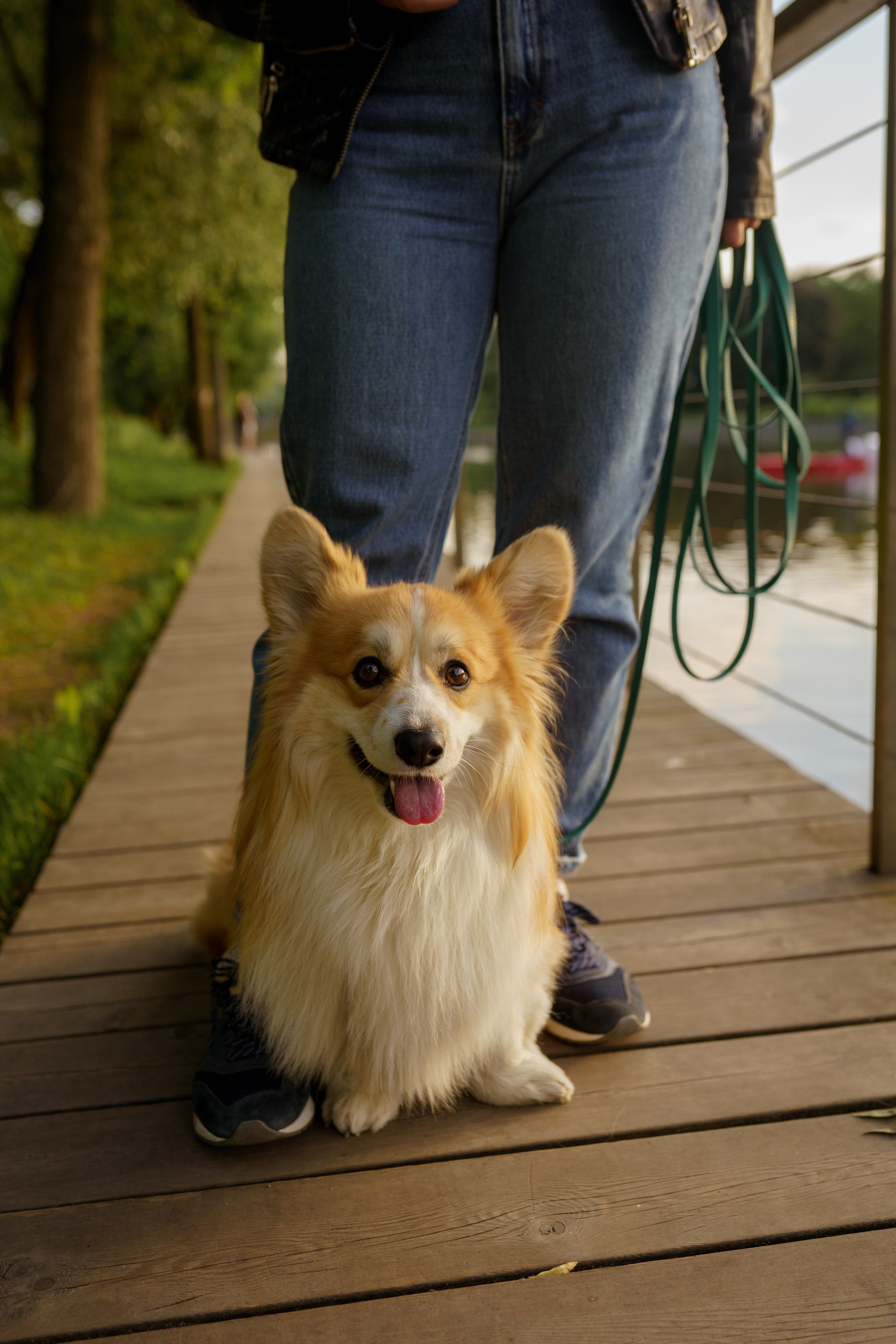Катя, Арсений и Пух. Свадебный фотограф в Москве Анна Полушина