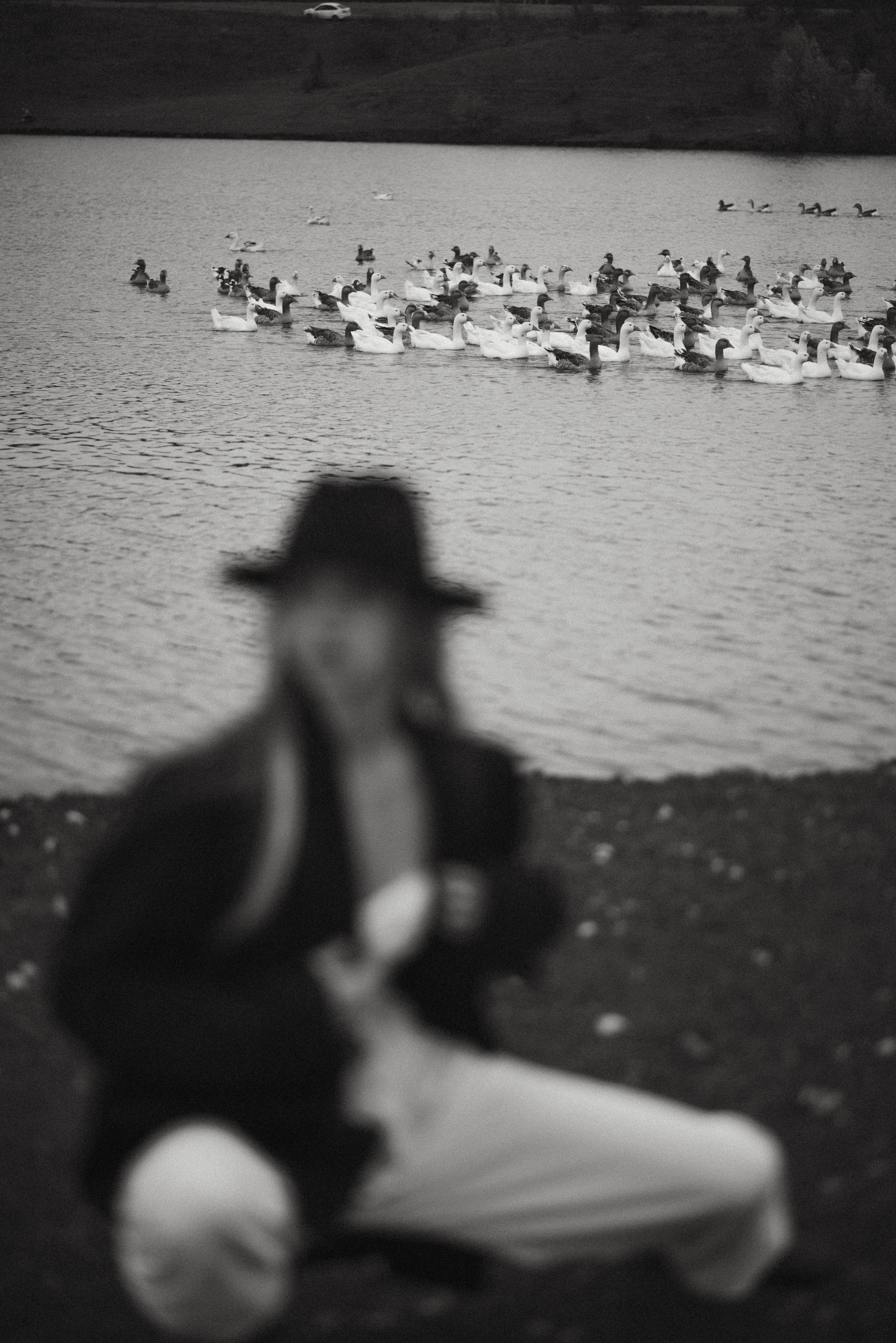 Алёна. Свадебный и портретный фотограф Анастасия Тетёркина, Брянск и Санкт-Петербург