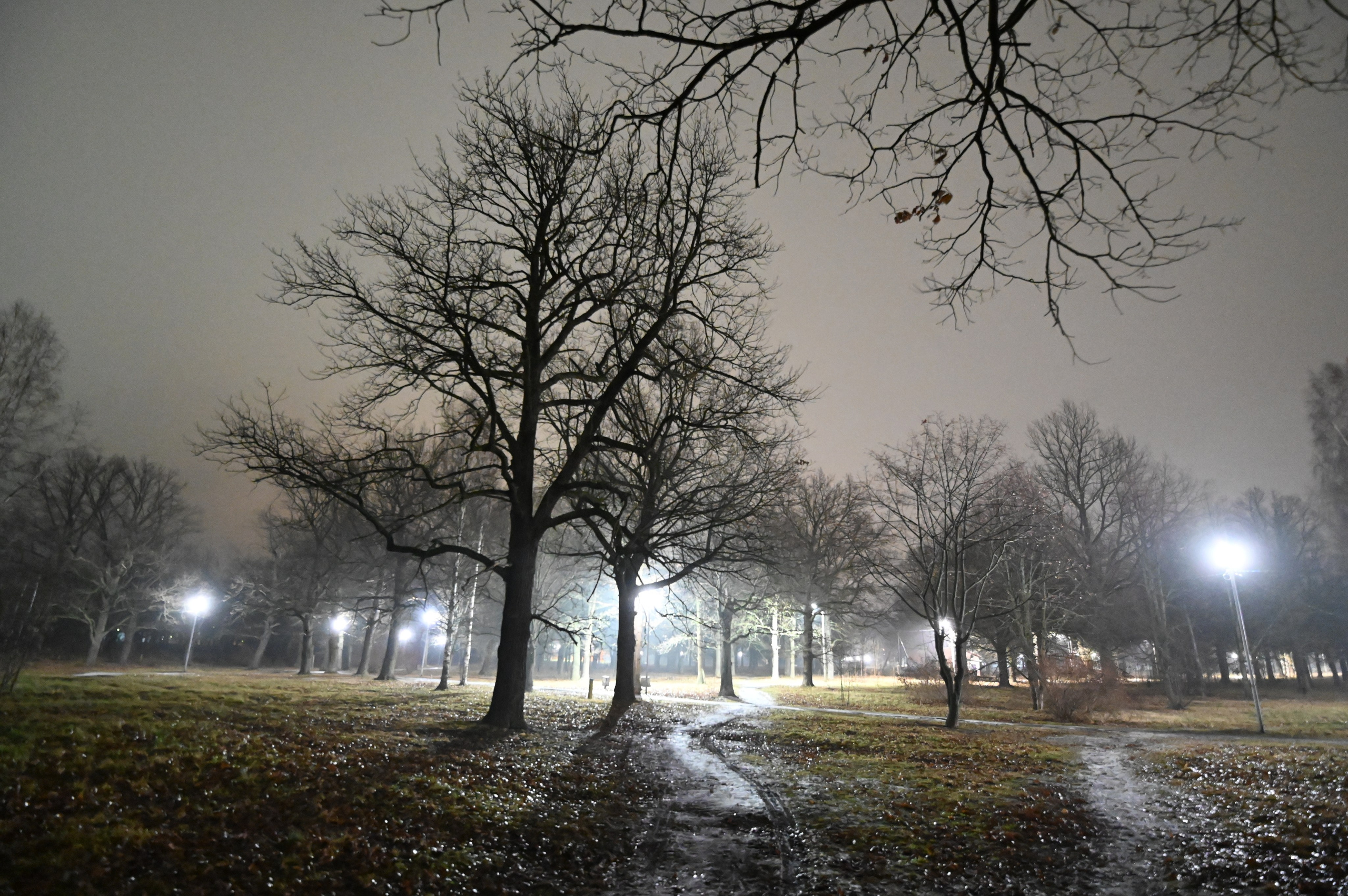 Фото Московской области. Студия Максима Белослюдцева
