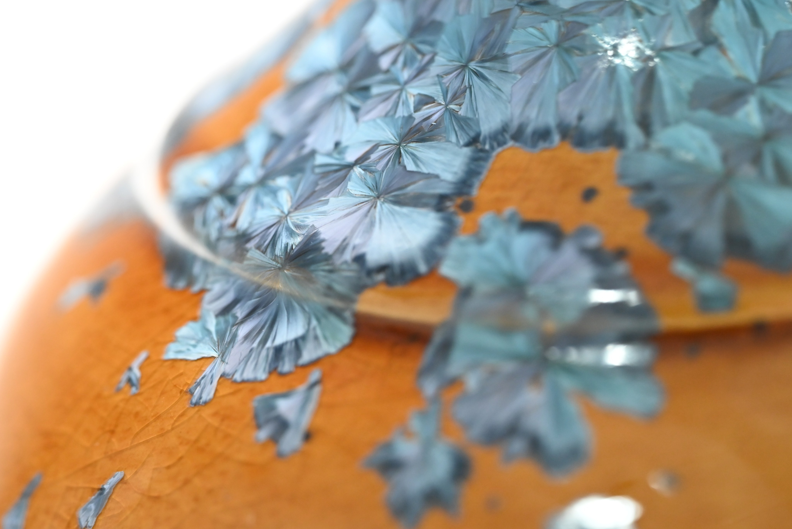 Анемон. Артур Бахтин