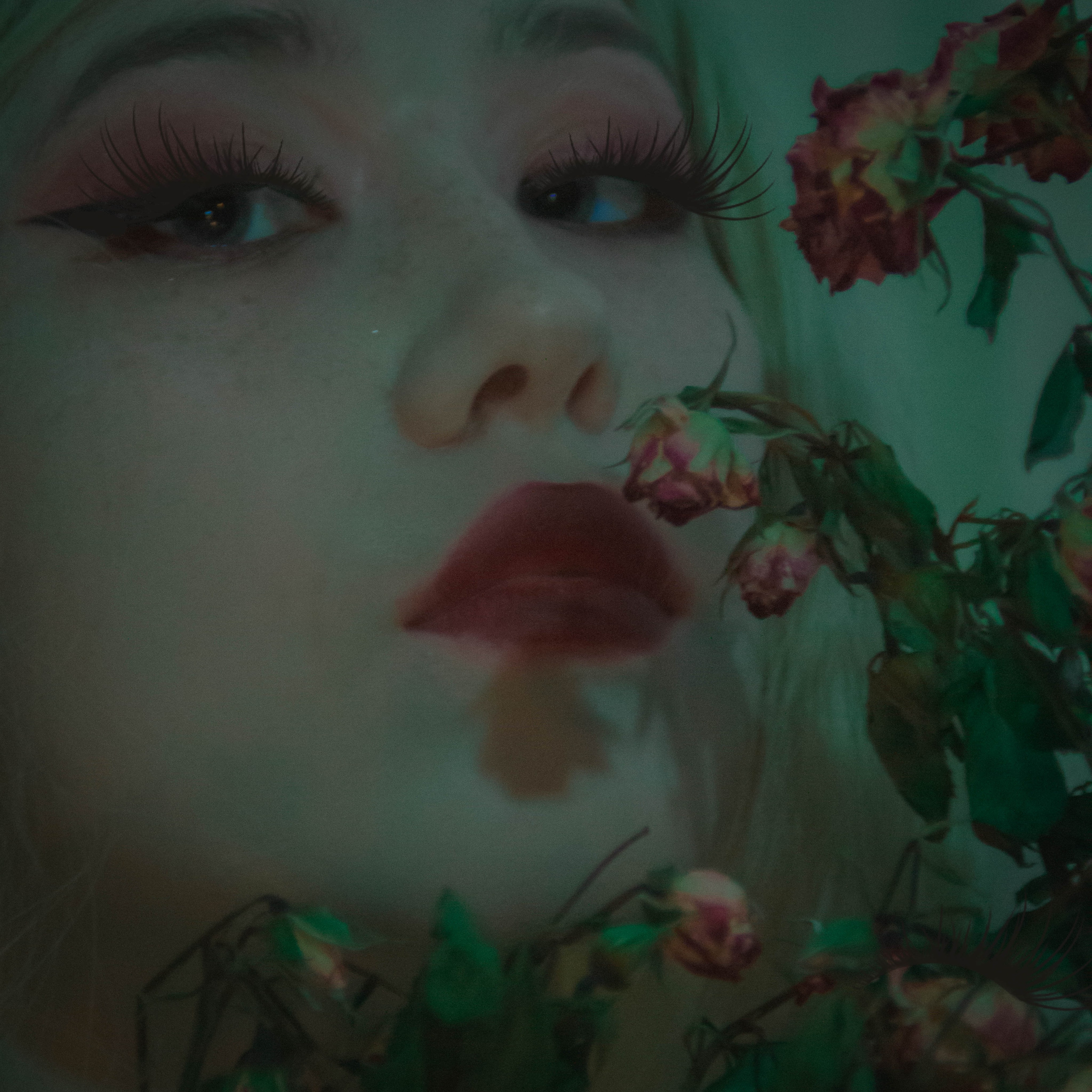 «Без названия»