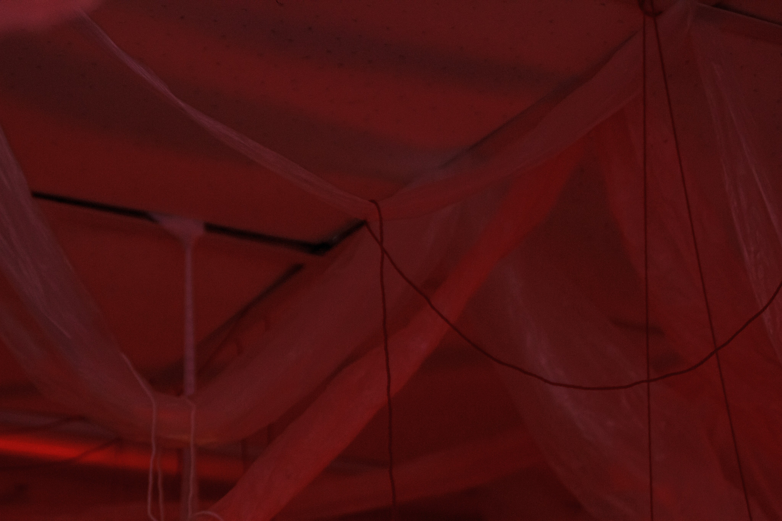 Ночь музеев в Екатеринбургской академии современного искусства2025