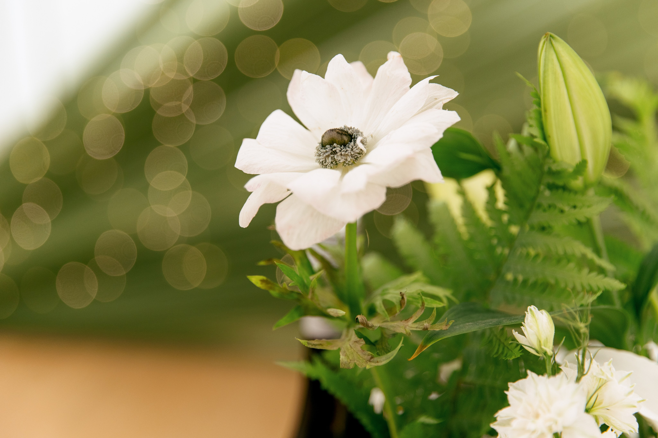 Артём и Саша. Свадебный и семейный фотограф в Туле и области Маша Костина