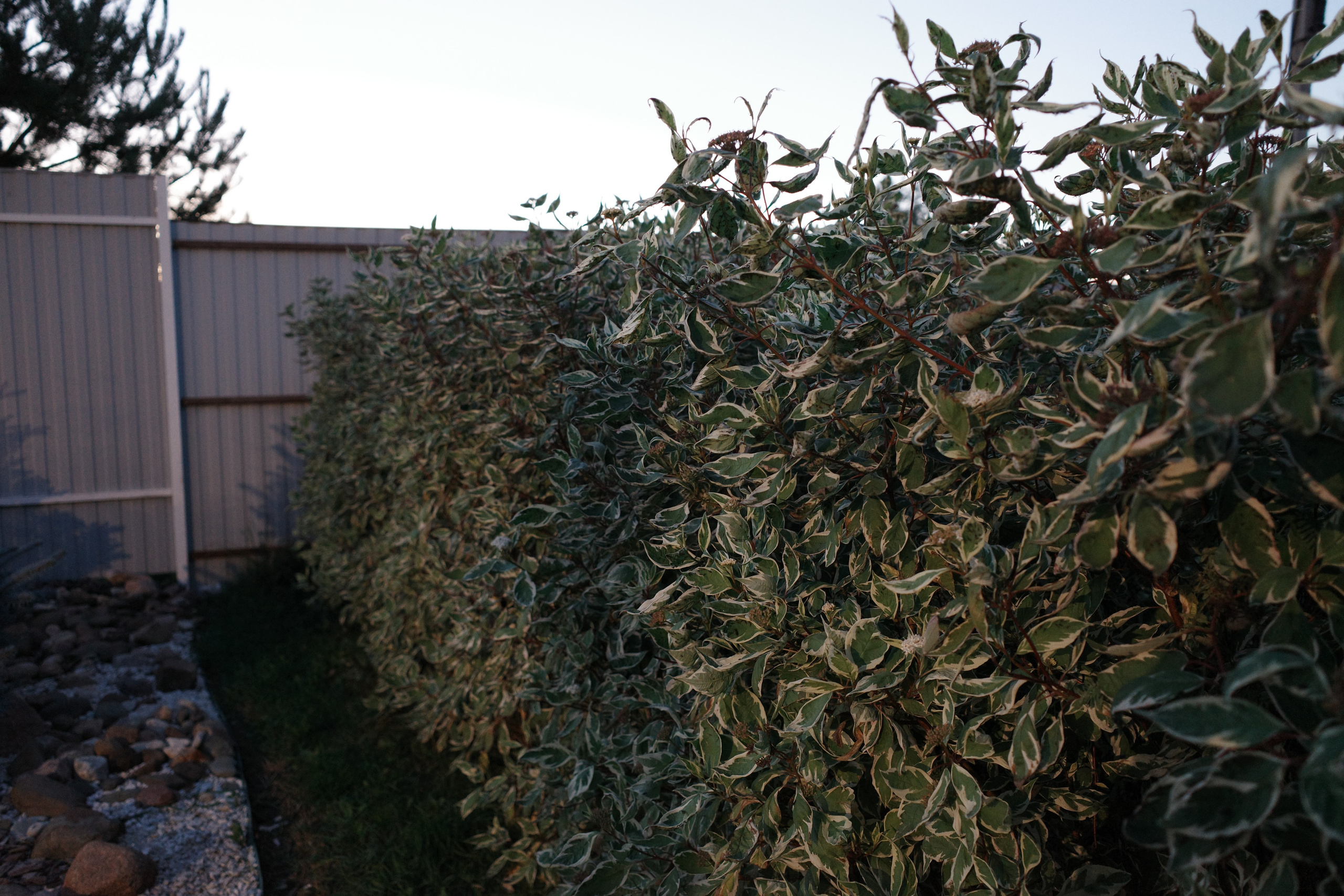 Галерея Ricoh GR3 HDF. Константин Устинов — фотограф