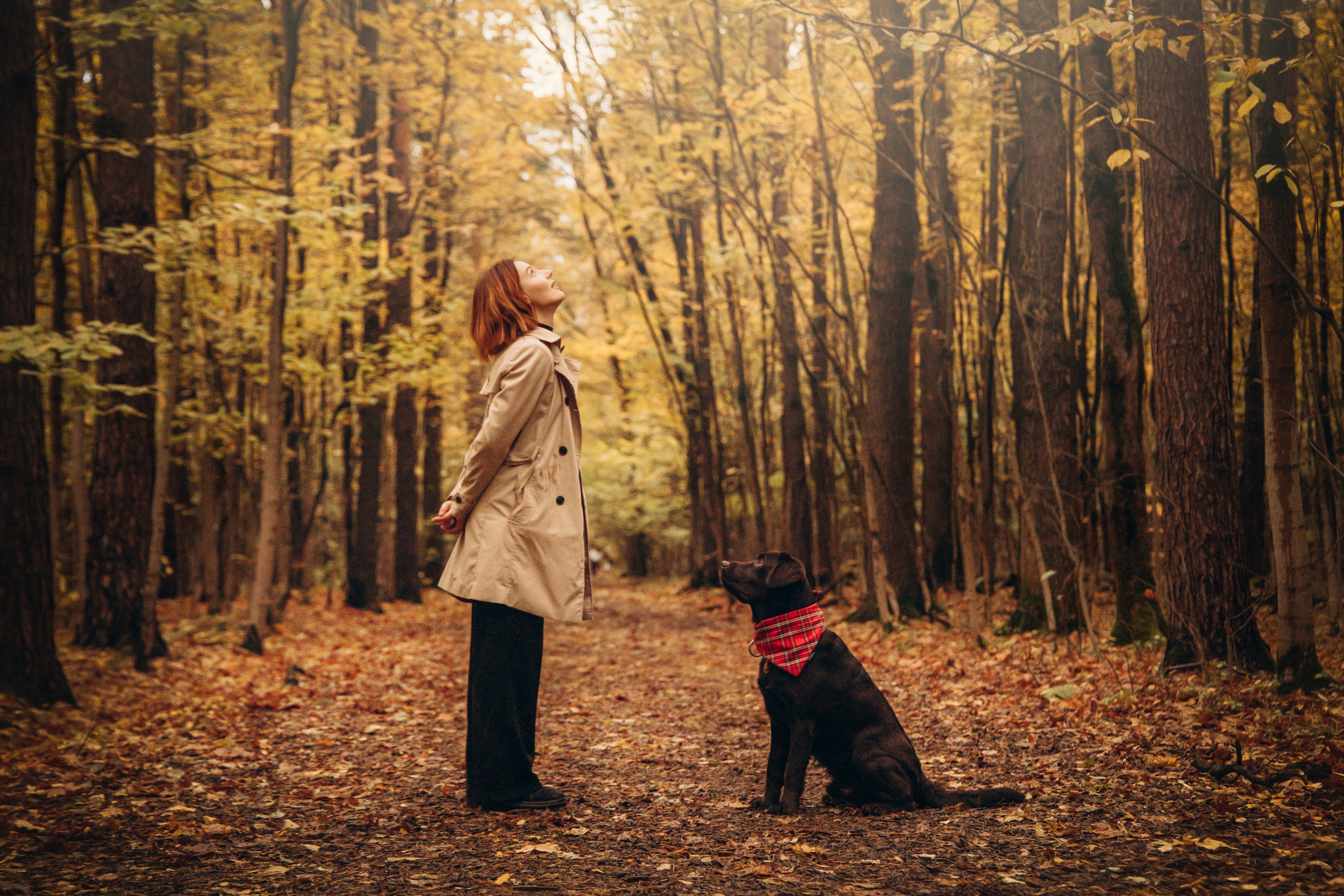 Арина и Сэмми. Фотограф — Анималист | Санкт-Петербург