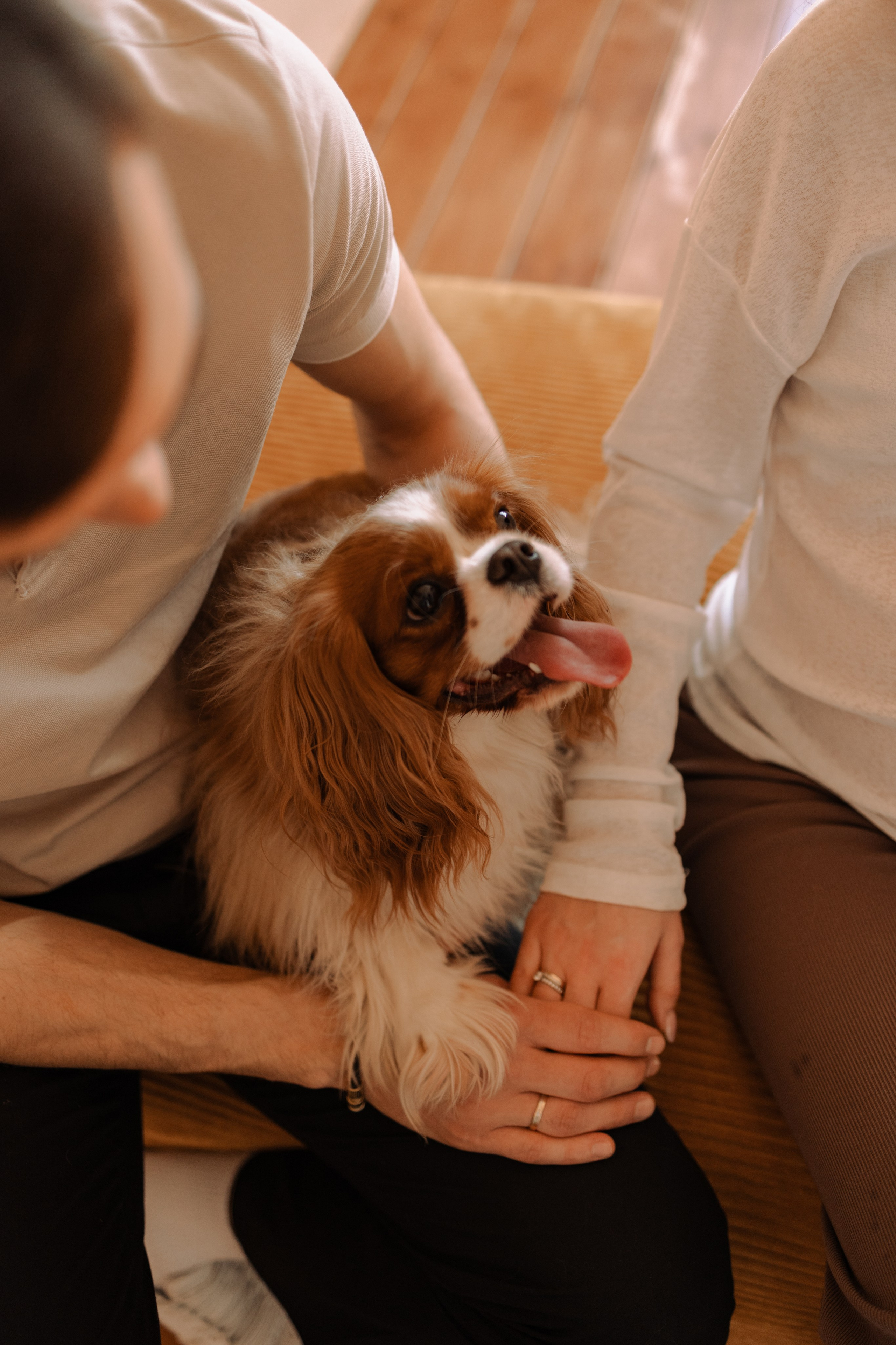 Шерри и ее семья. Фотограф — Анималист | Санкт-Петербург