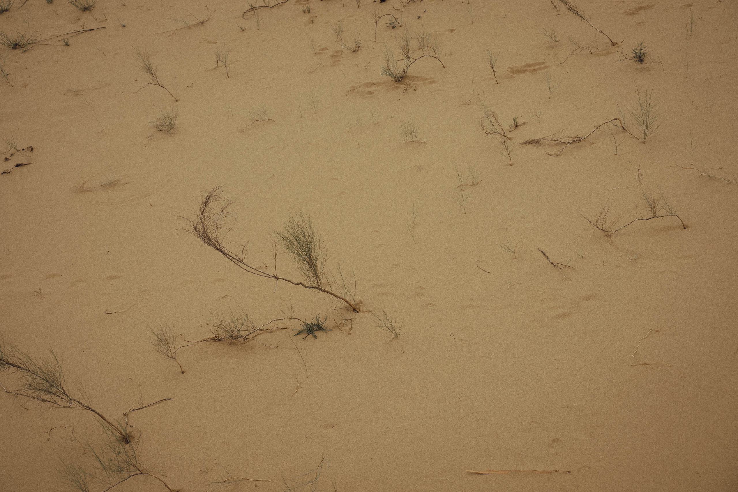 Кавказ. Профессиональный фотограф, Санкт-Петербург — Виктория Богомолова