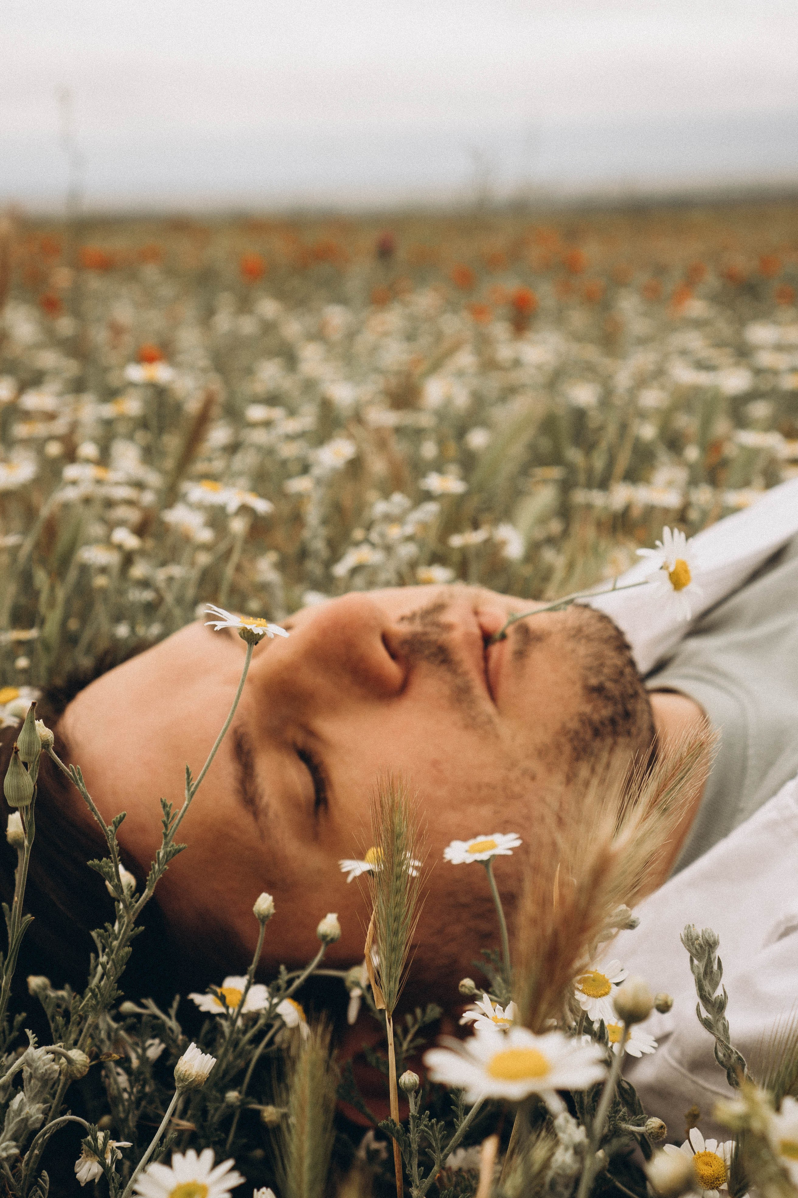 Маки. Профессиональный фотограф, Санкт-Петербург — Виктория Богомолова