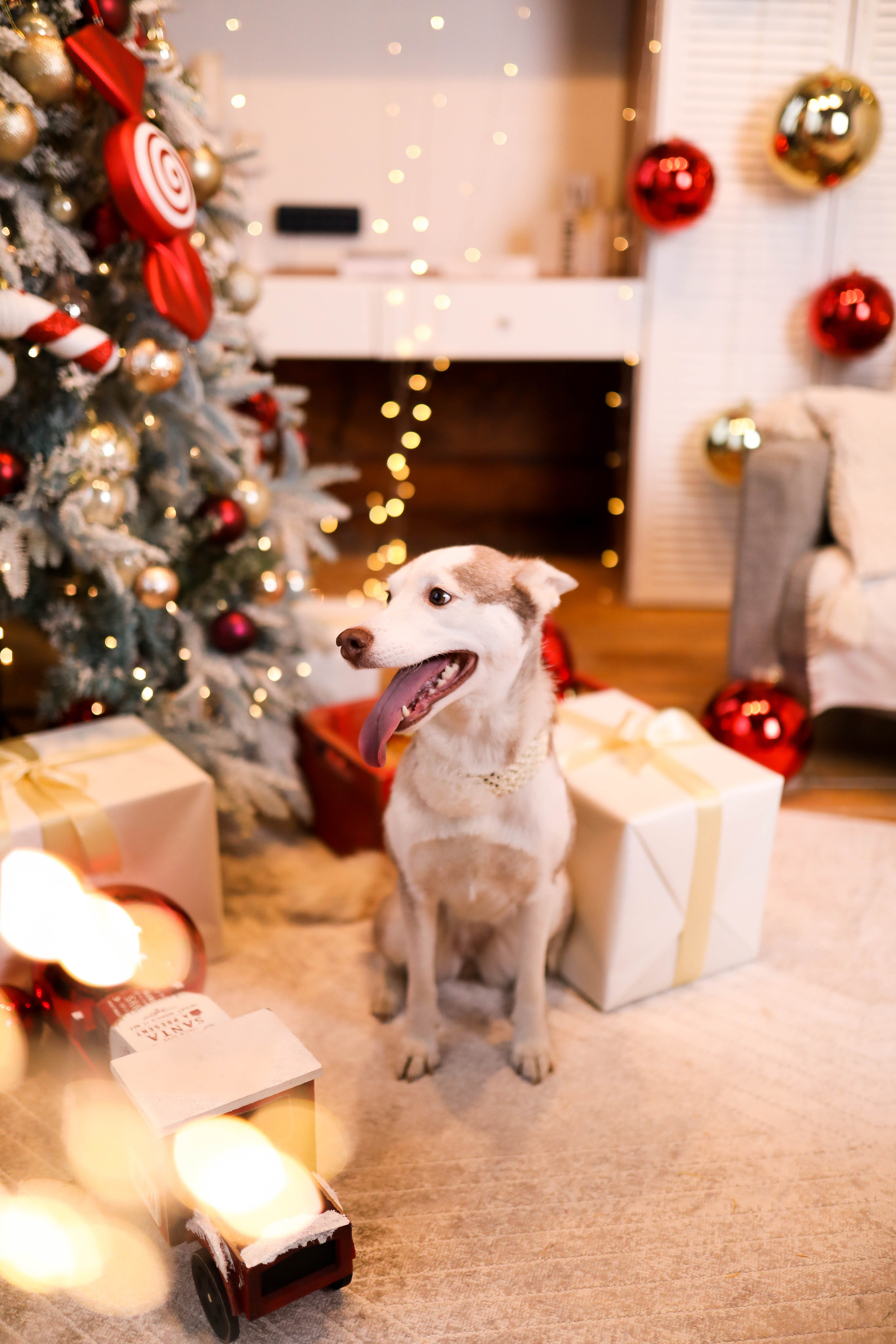 Семейная фотосессия волшебный Лофт. ФОТОГРАФ ХАБАРОВСК АНАСТАСИЯ РАЧЕНКОВА