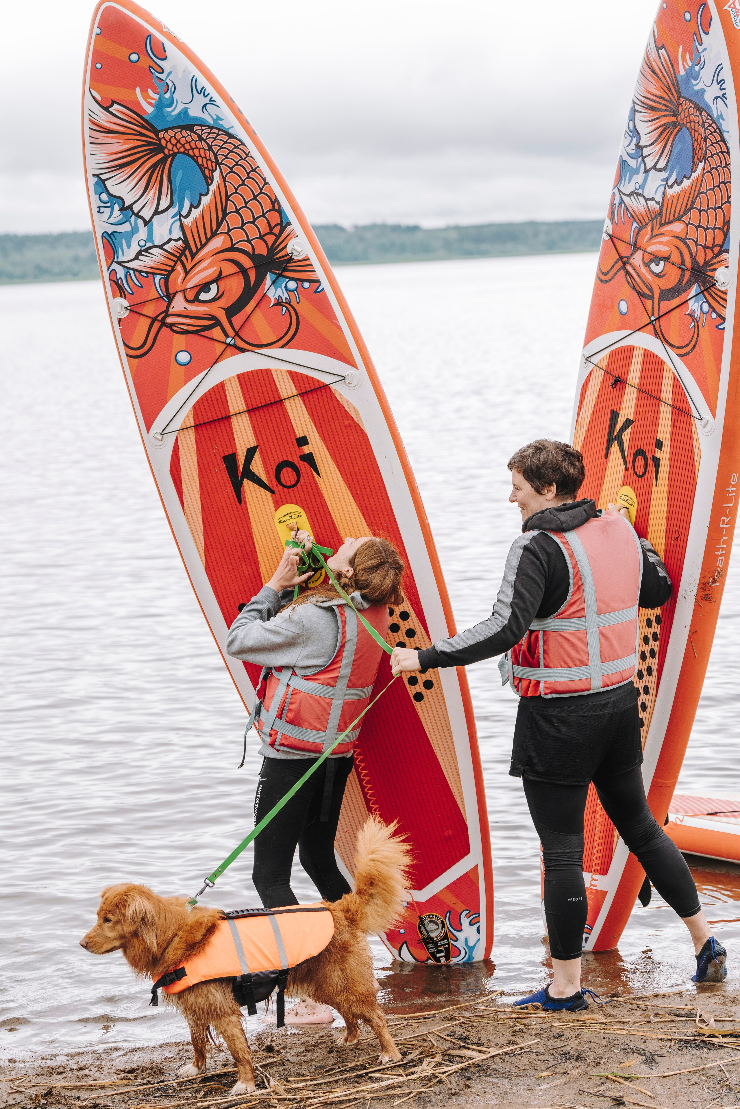 Катание на сапах с собаками. Фотограф анималист в Спб недорого Олеся Майорова