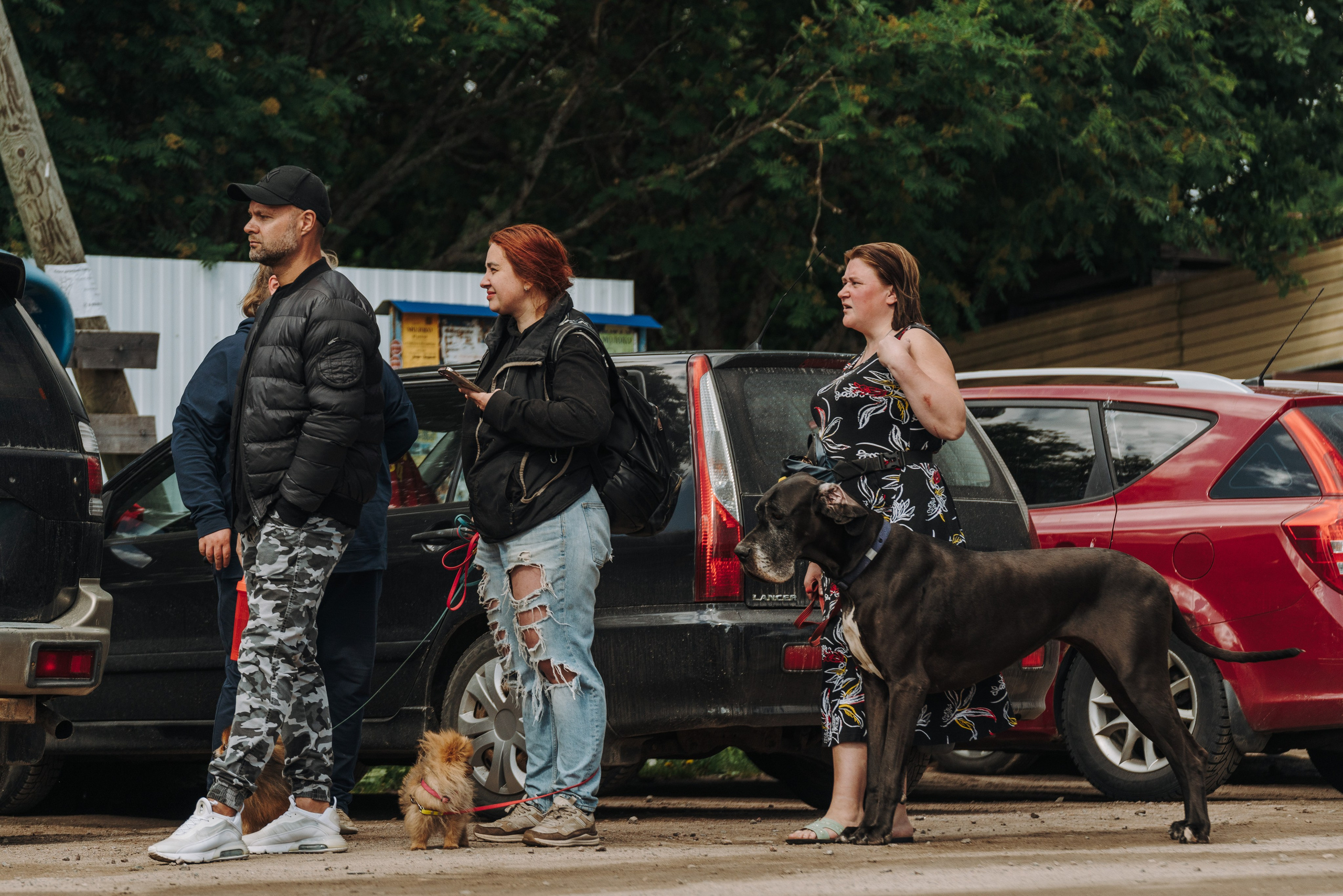 Соревнования по ноузворку. Фотограф анималист в Спб недорого Олеся Майорова