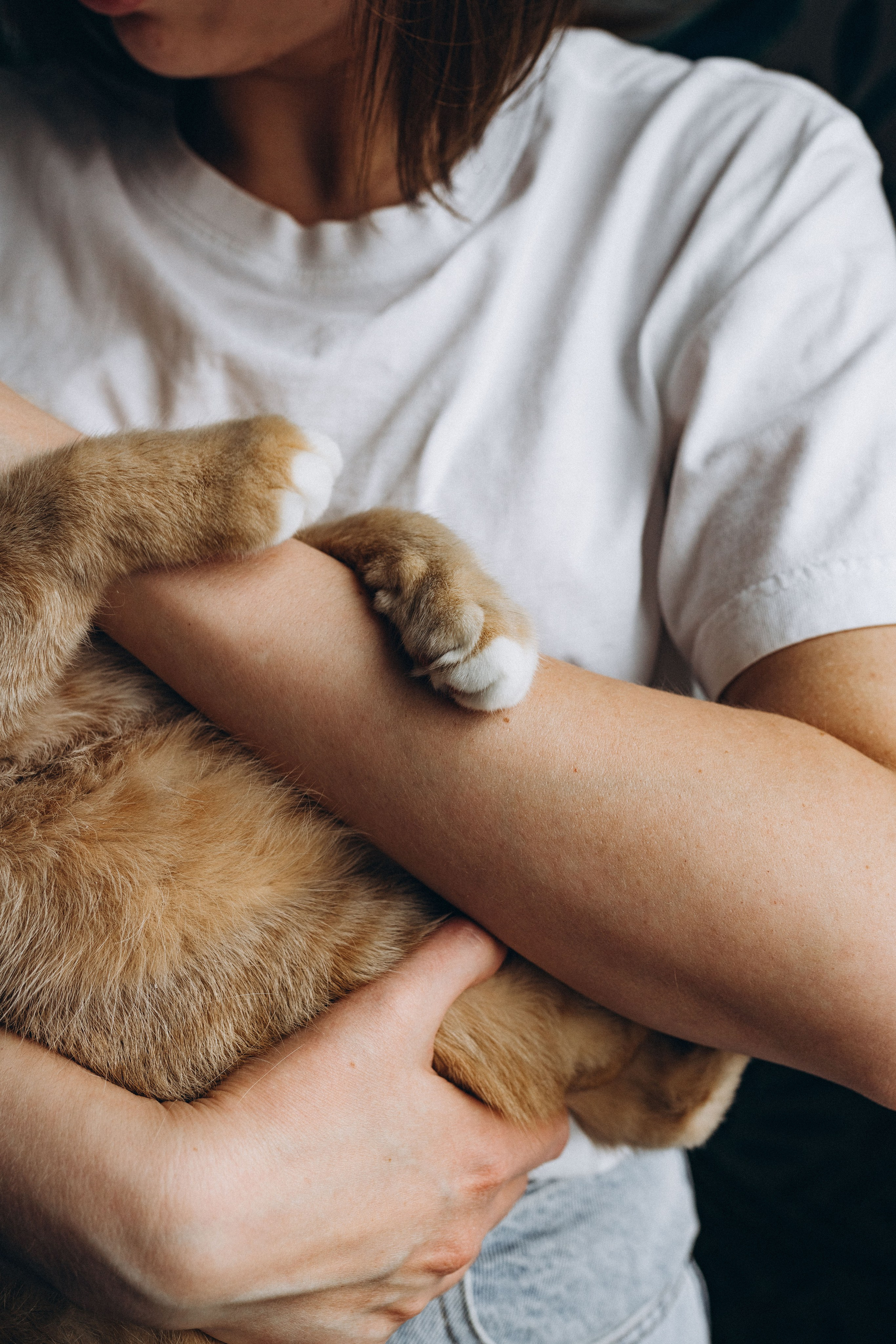 Даша и Брукс. Фотограф анималист в Спб недорого Олеся Майорова