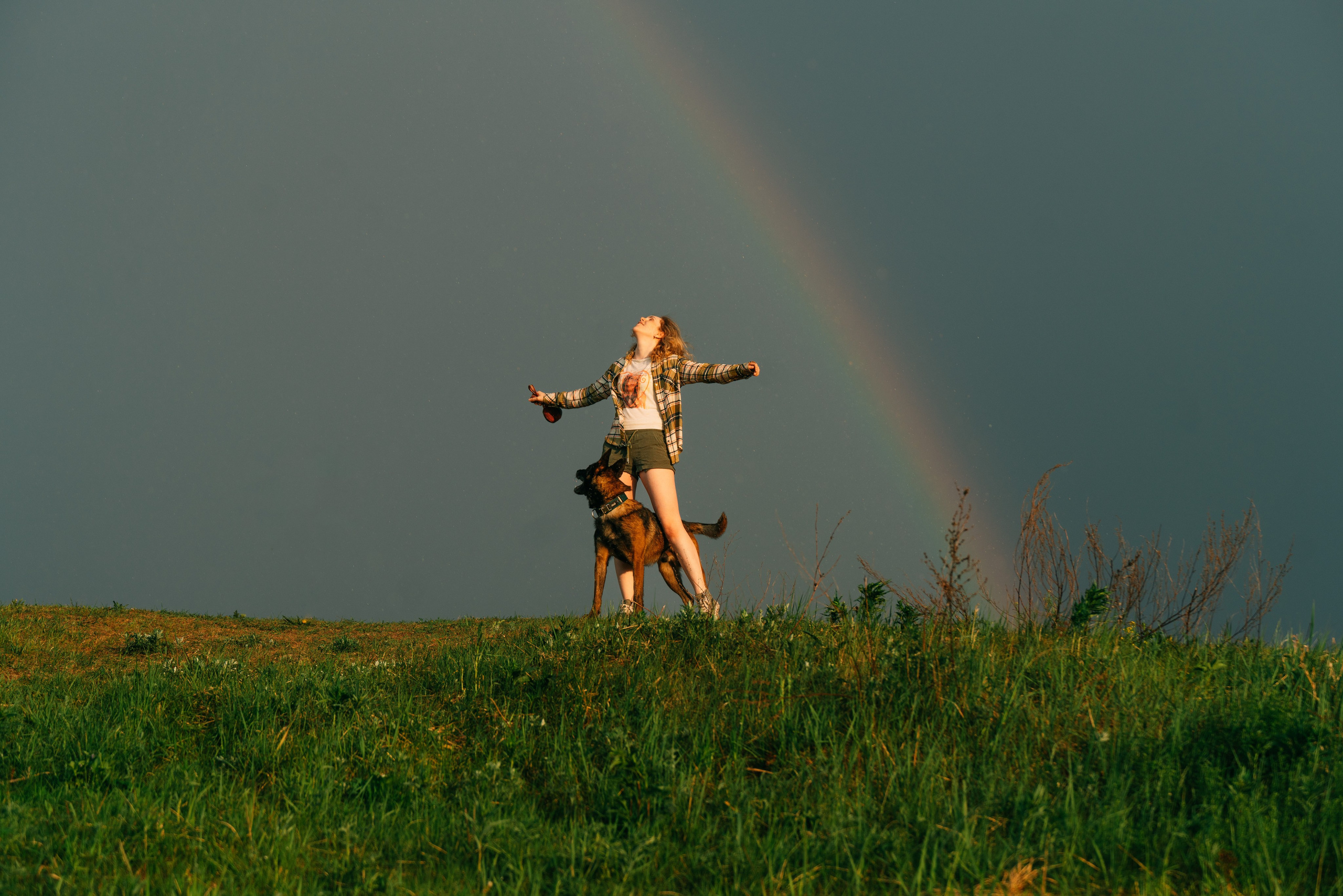 Фотоссесия с двумя собакми Спб. Фотограф анималист в Спб недорого Олеся Майорова