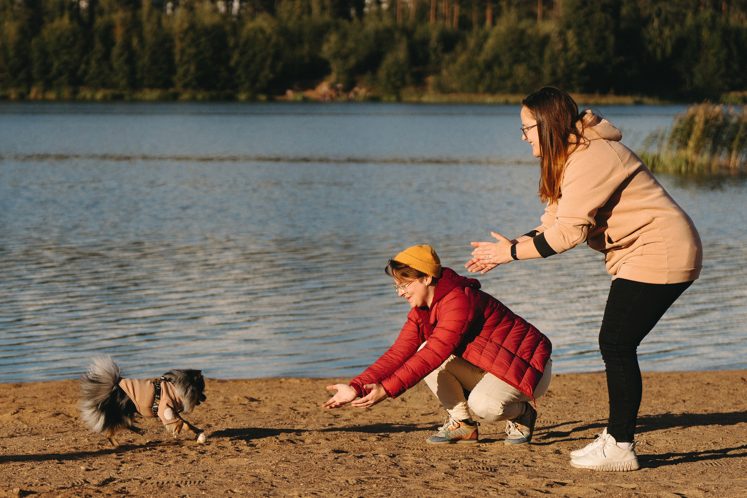 Семейная фотосессия с двумя собаками на закате. Фотограф анималист в Спб недорого Олеся Майорова