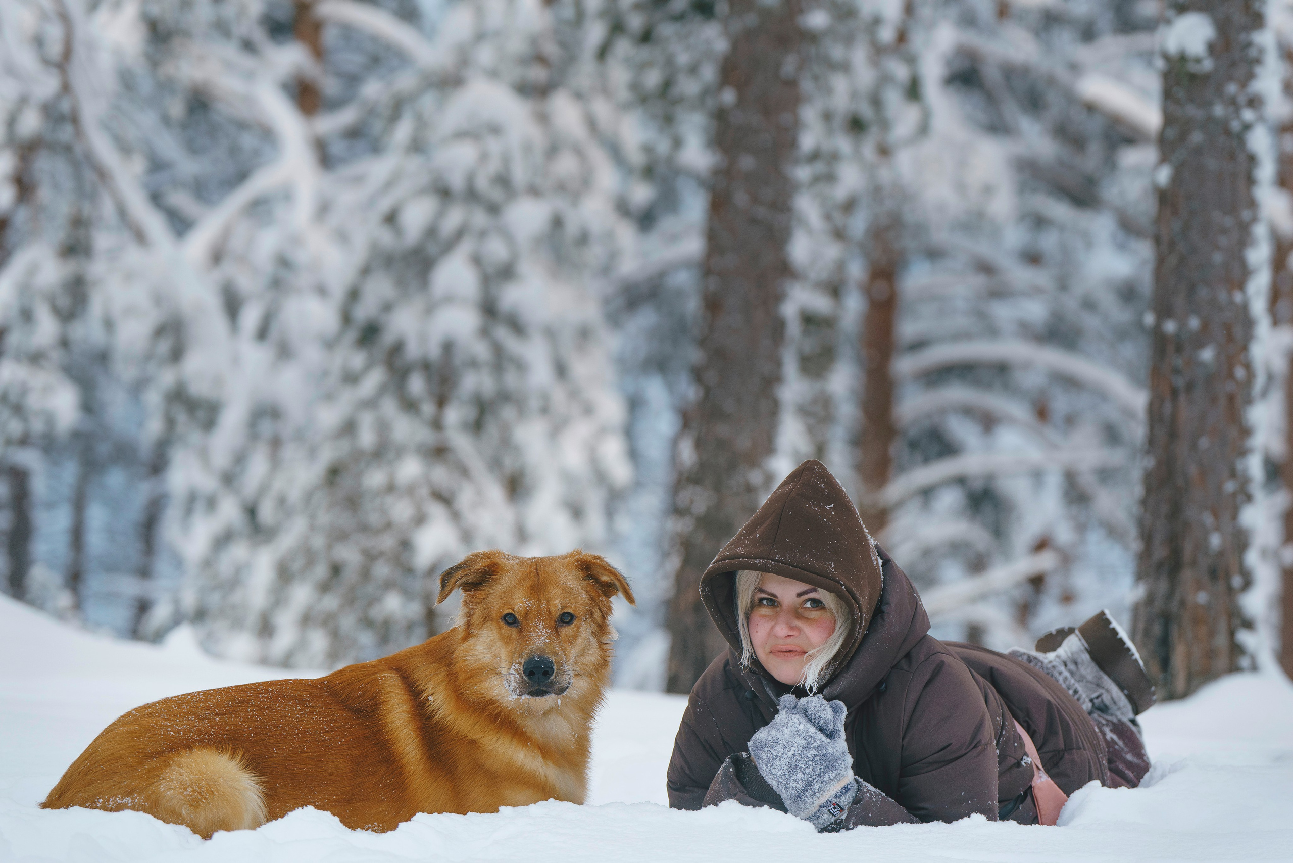 Рэй, Кузя, Ольга и Александр. Фотограф анималист в Спб недорого Олеся Майорова