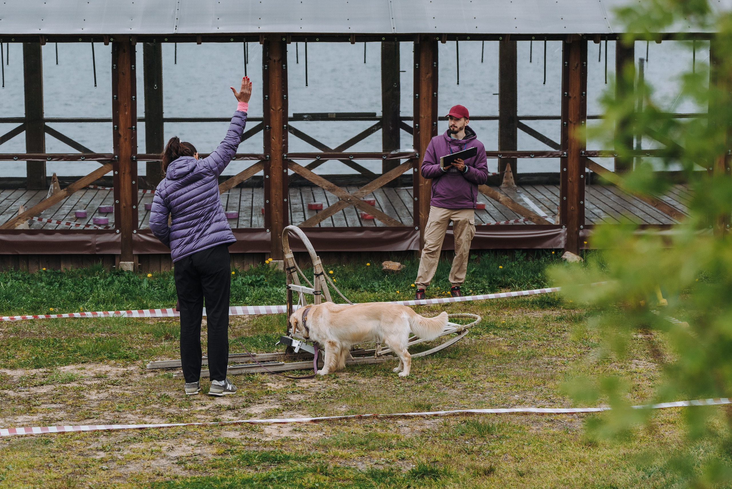 Соревнования по ноузворку в Лосево. Фотограф анималист в Спб недорого Олеся Майорова