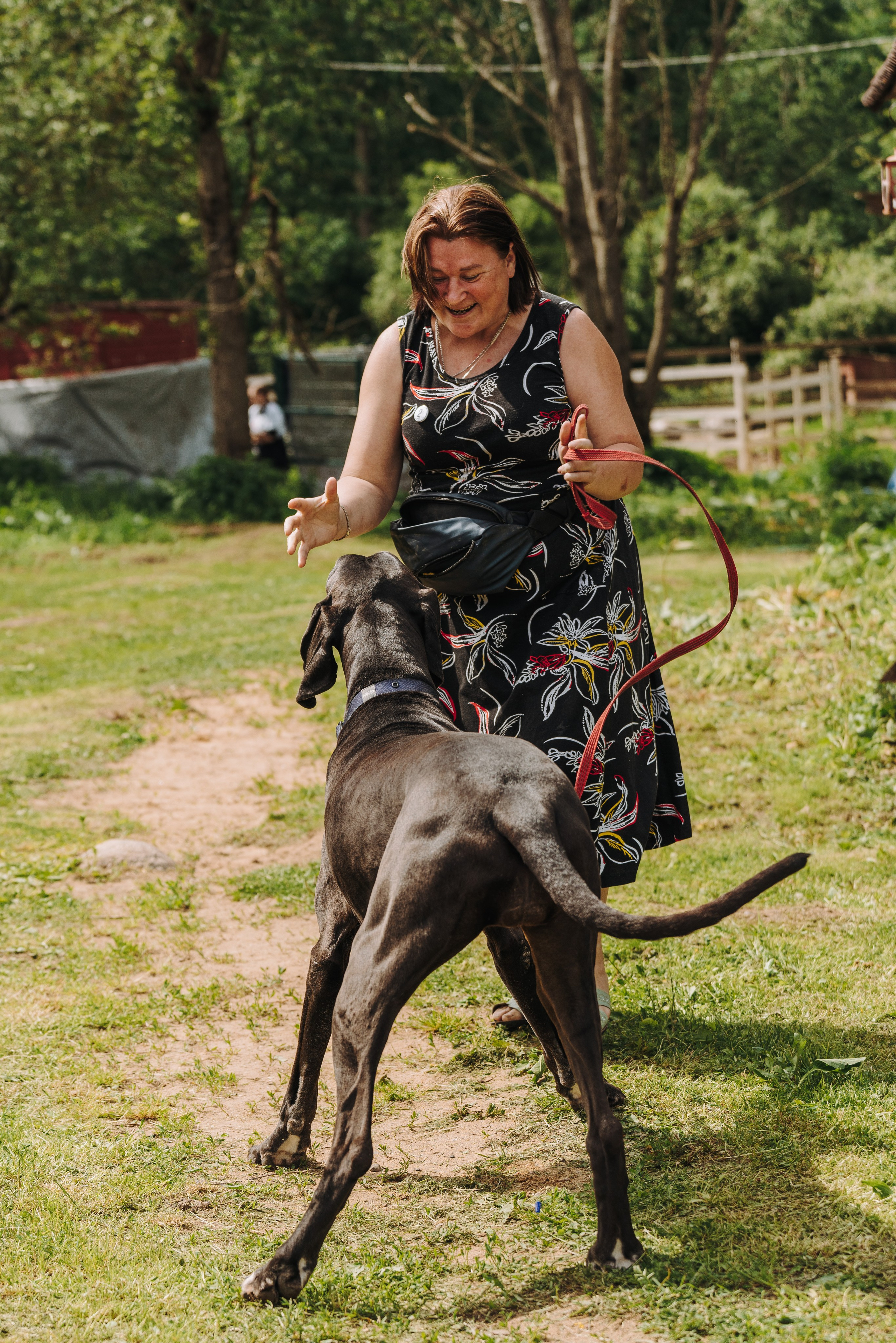 Соревнования по ноузворку. Фотограф анималист в Спб недорого Олеся Майорова