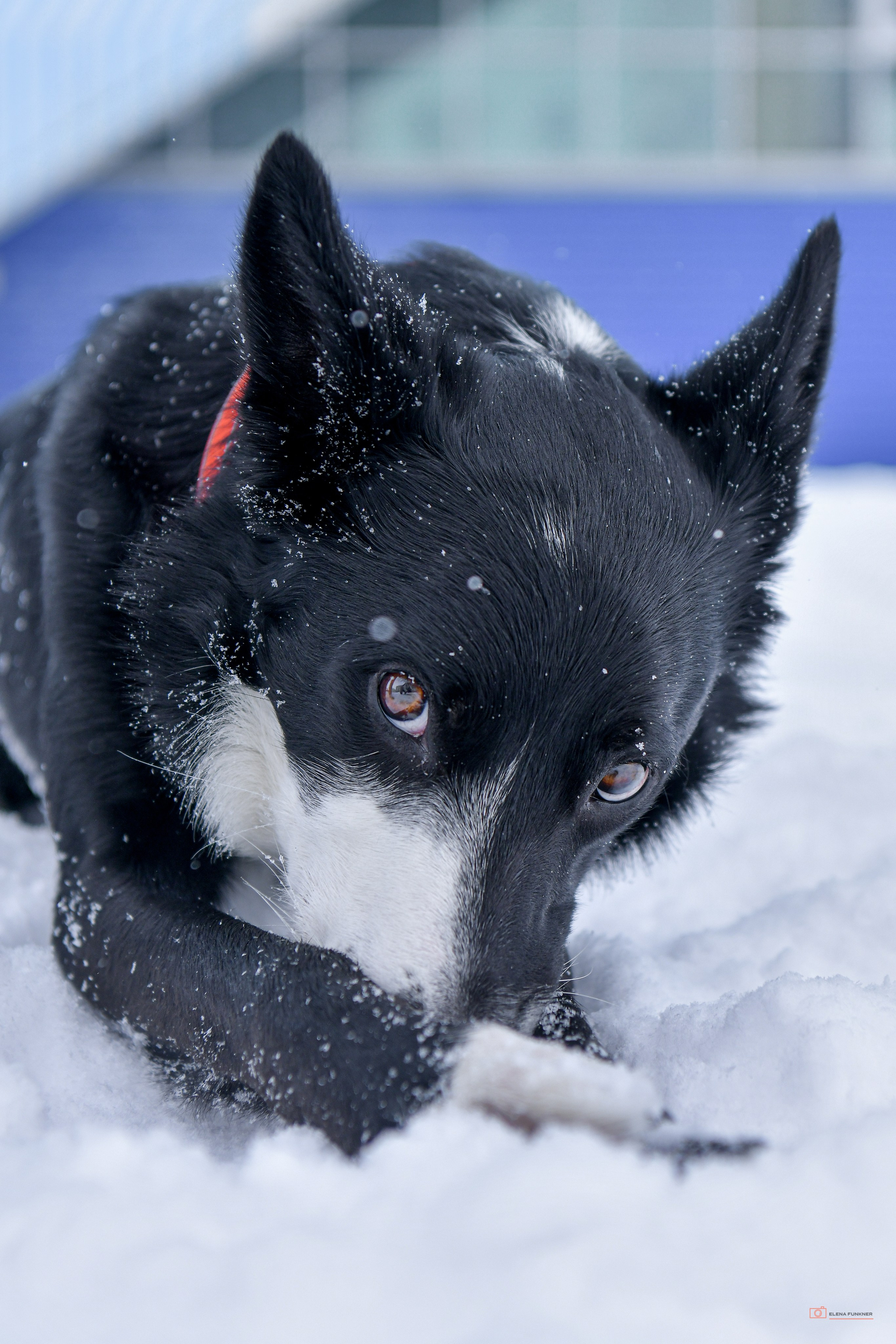 Зима. Свой взгляд через объектив
