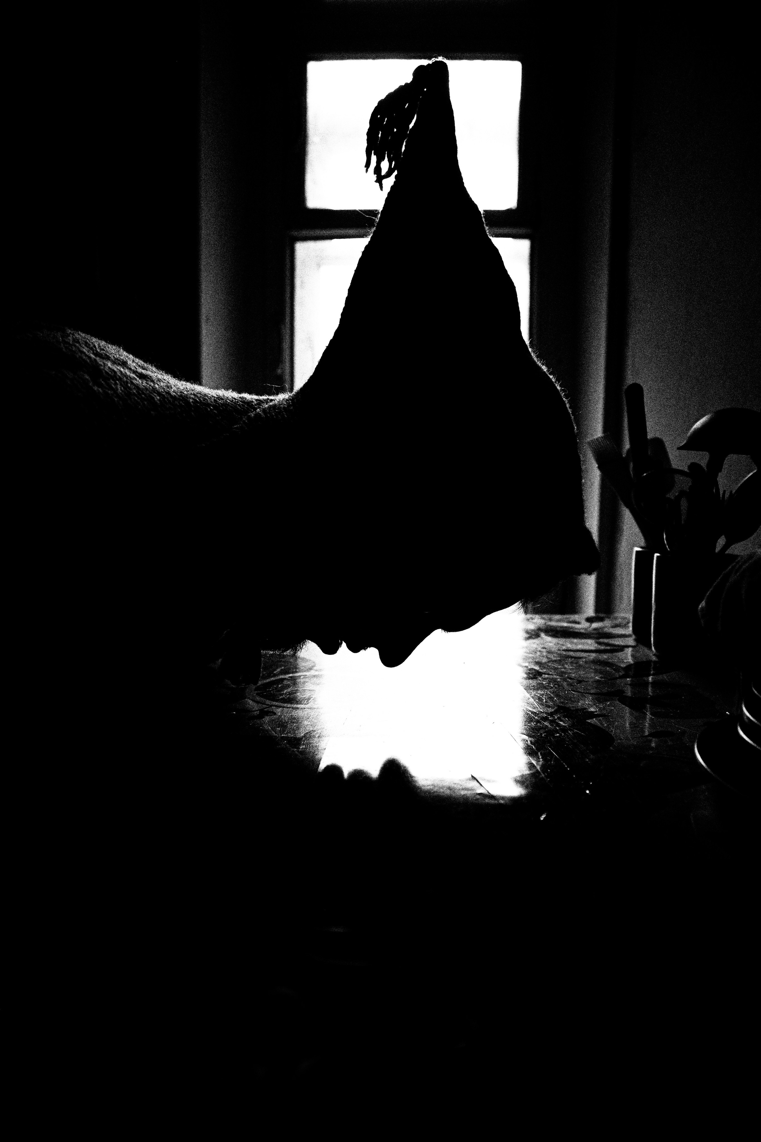 Никита. Черно-белый фотограф Дмитрий Пчелкин