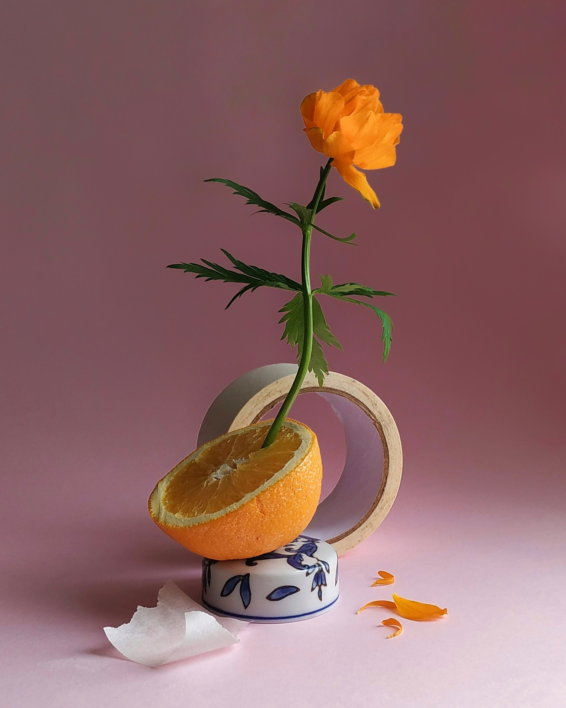 Personal. Настасья Проценко. Фотограф