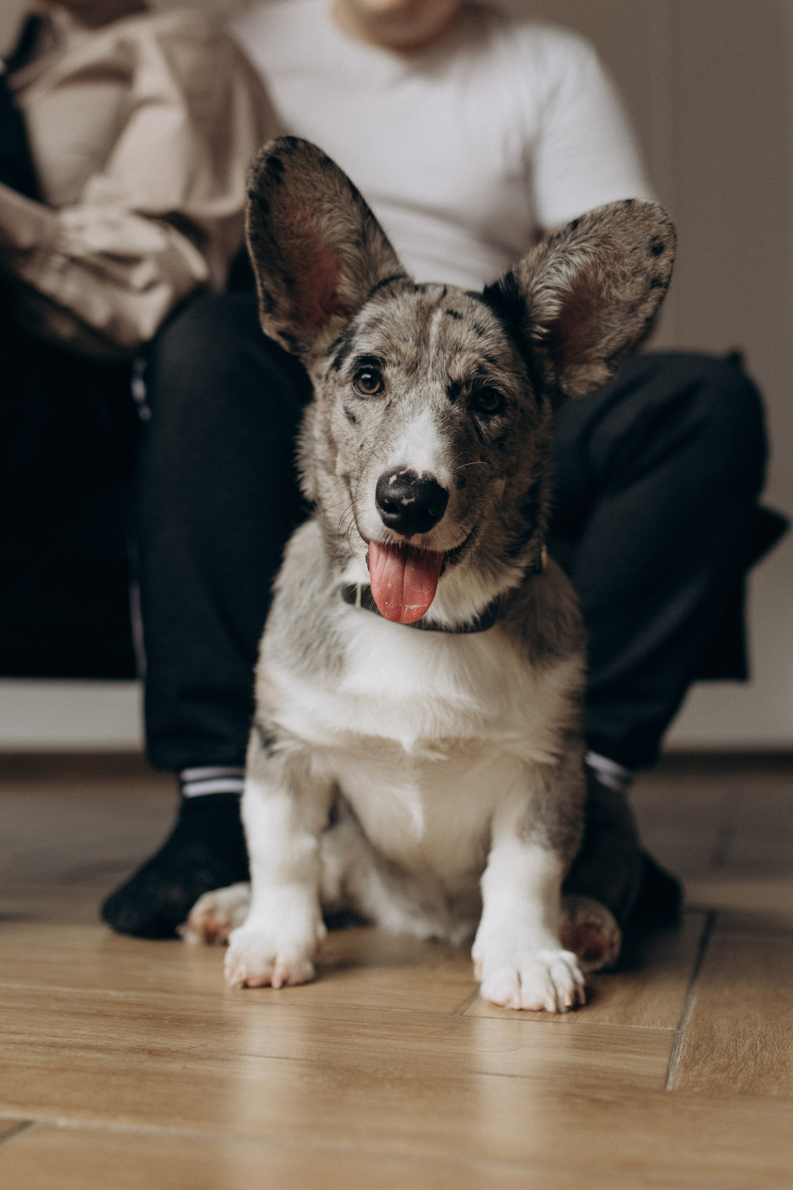 Фотосессия в WOOD