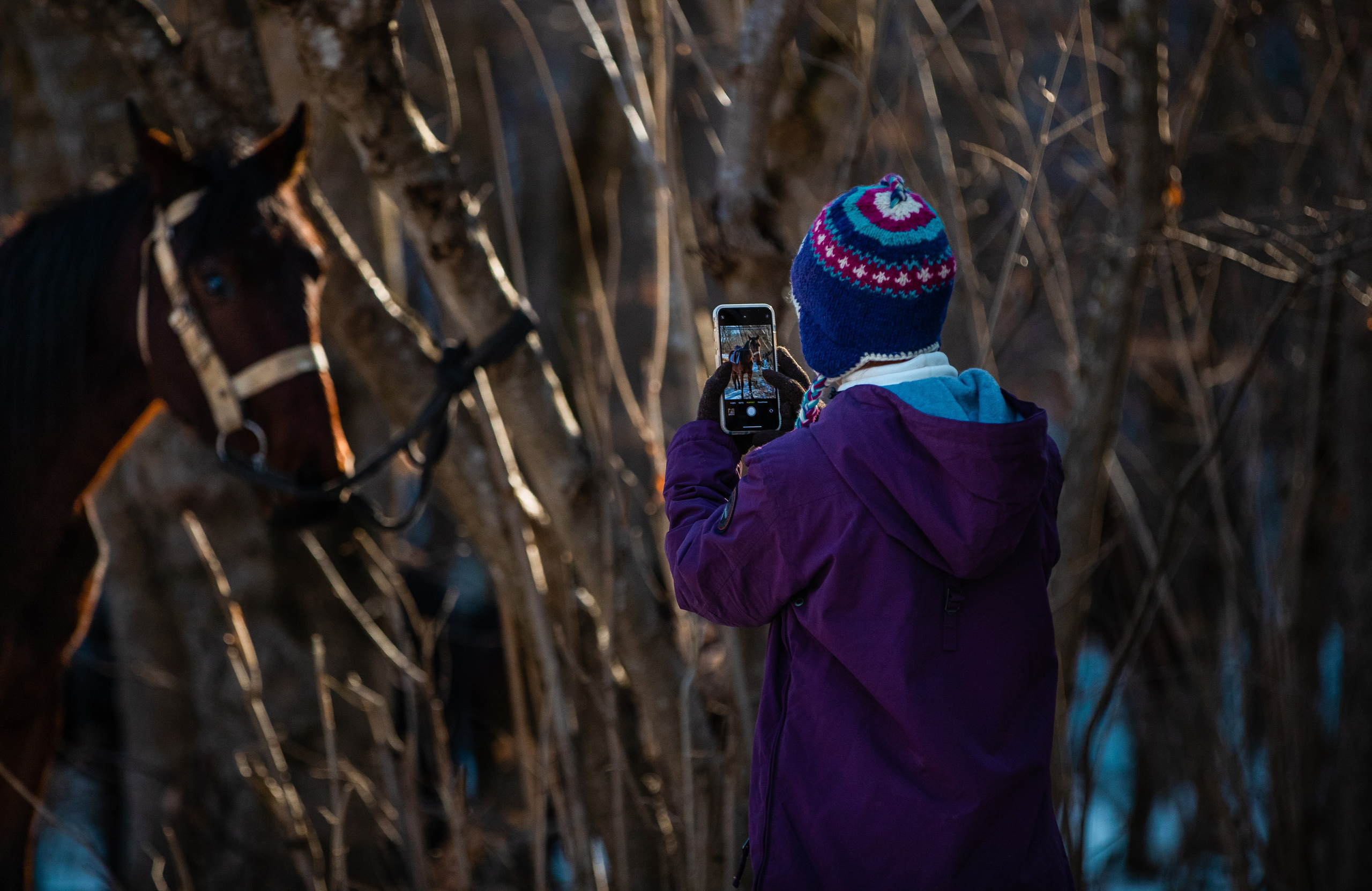 Фототуры в Карачаево-Черкессии 2019-2020. Фотограф-анималист Ксендзова Кристина