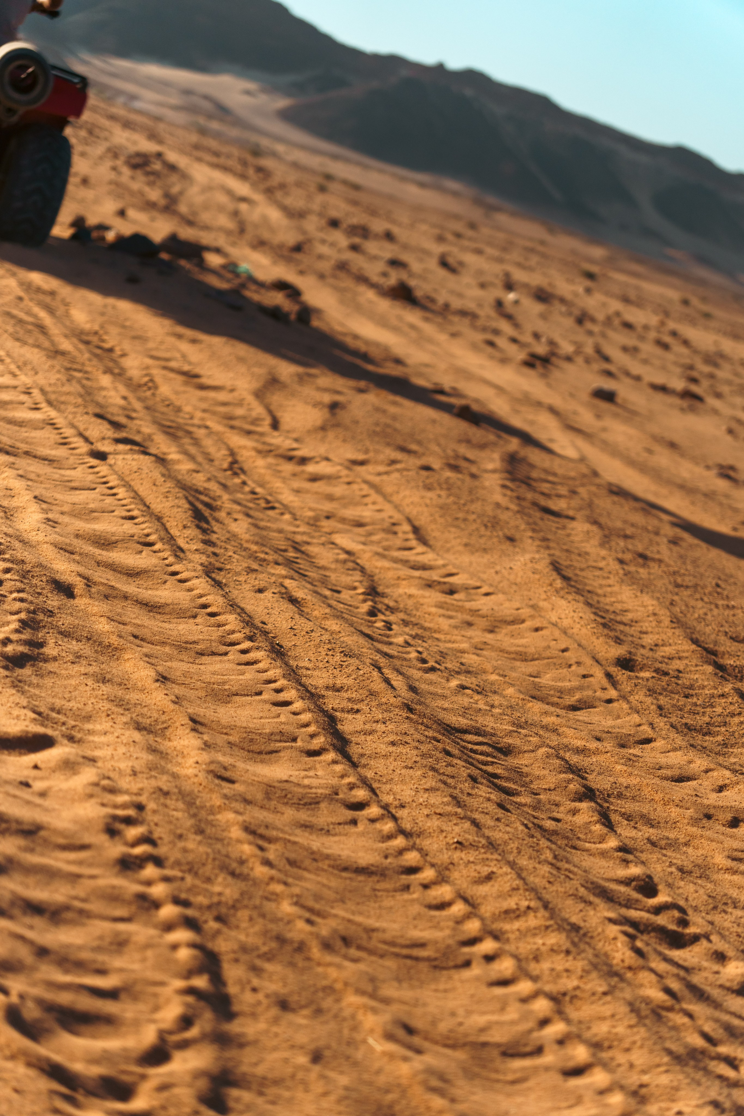 Природа. Фотограф в Санкт-Петербурге Ибрагимова Алина