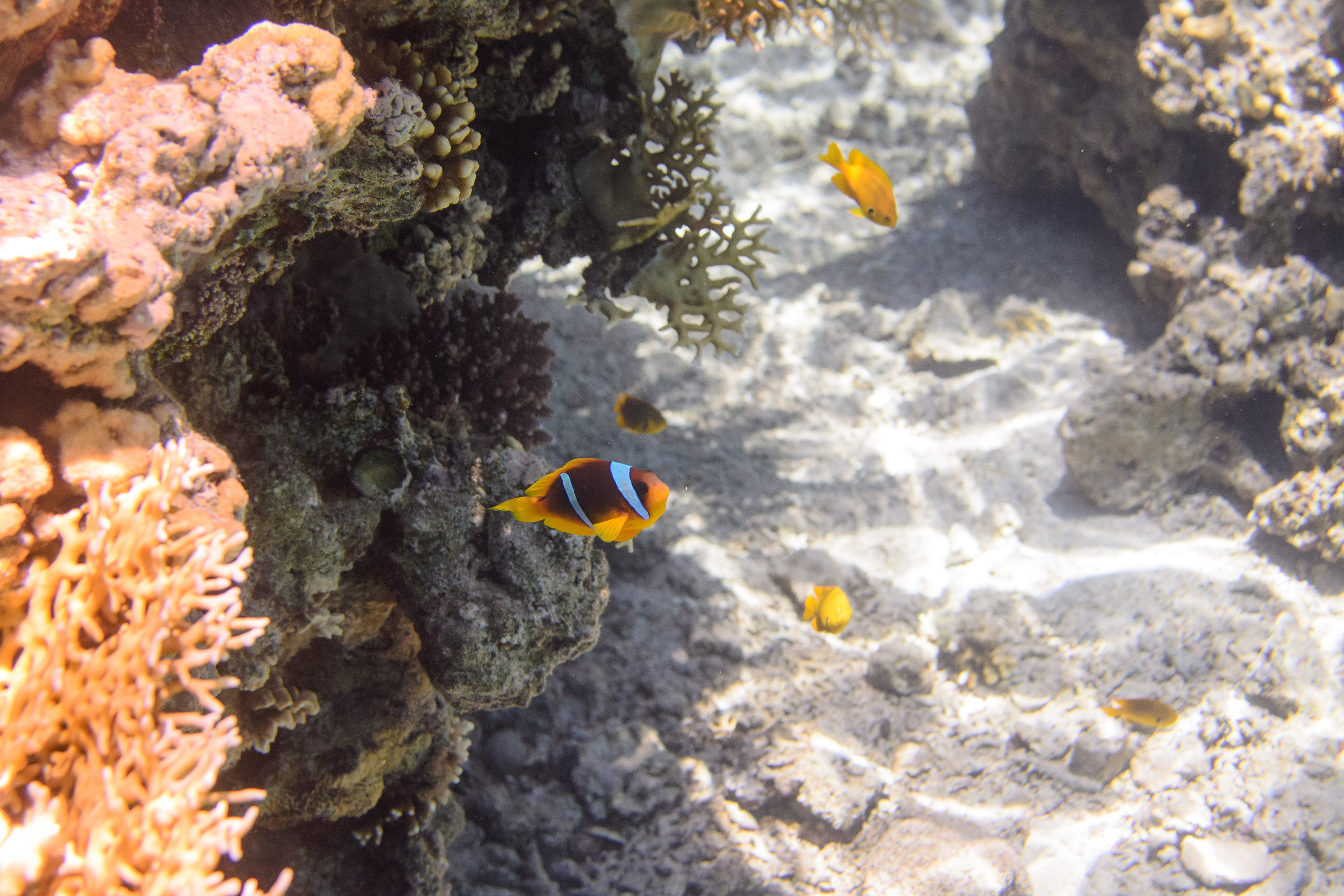 Море. Фотограф в Санкт-Петербурге Ибрагимова Алина