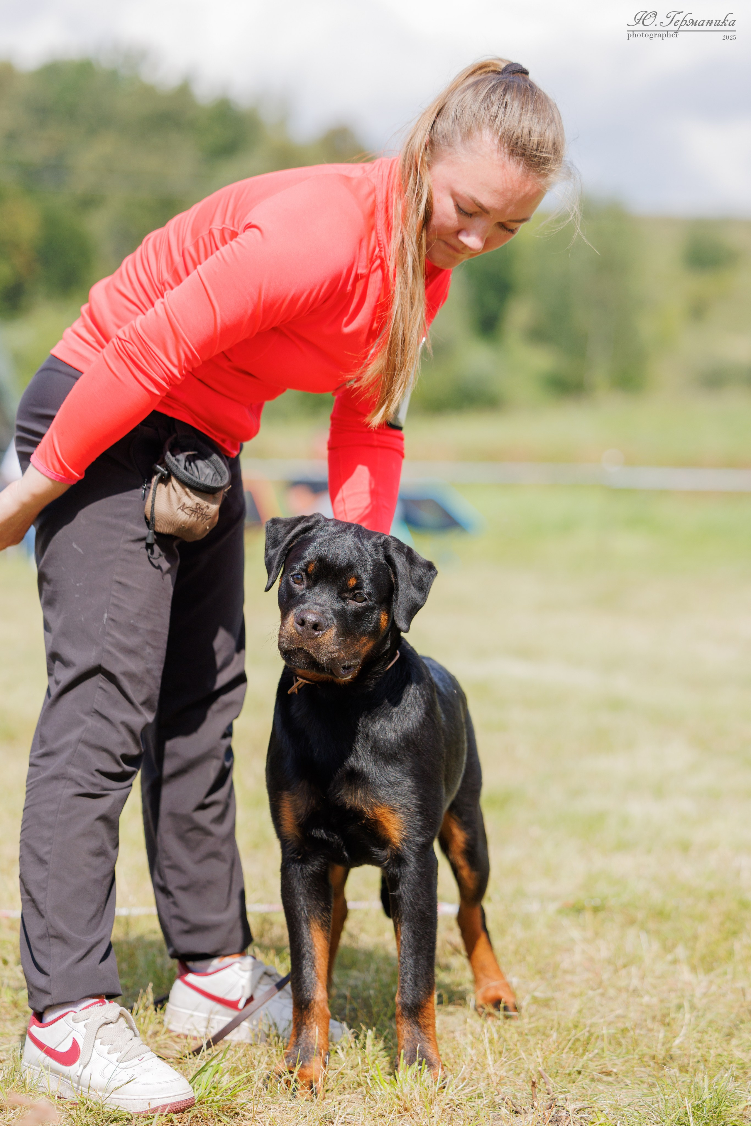 Рязань 2хмоно ротвейлеры 16-17.08.2025. Фотограф-анималист Юлия Германика