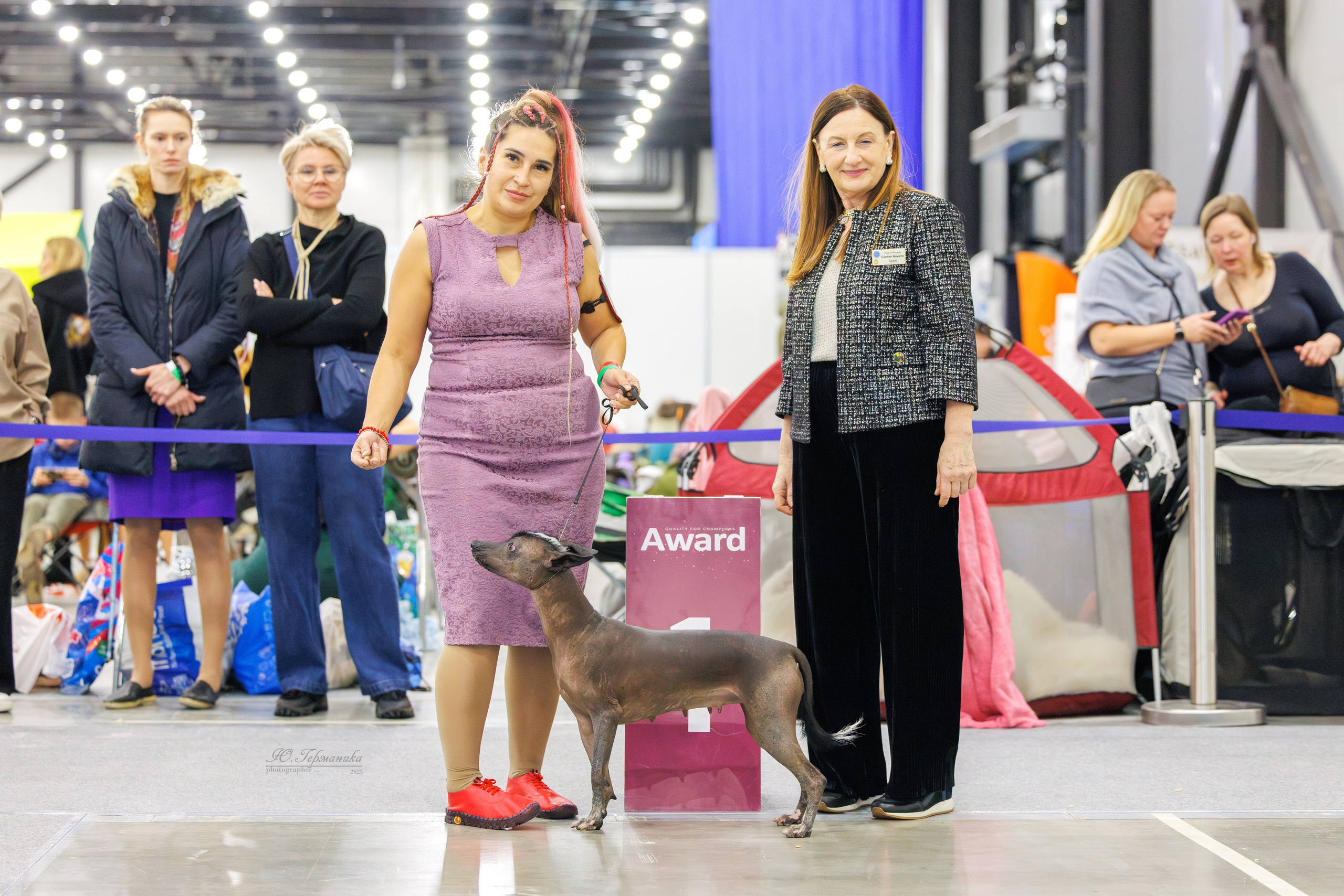 Питер 12-13.12.2025. Фотограф-анималист Юлия Германика