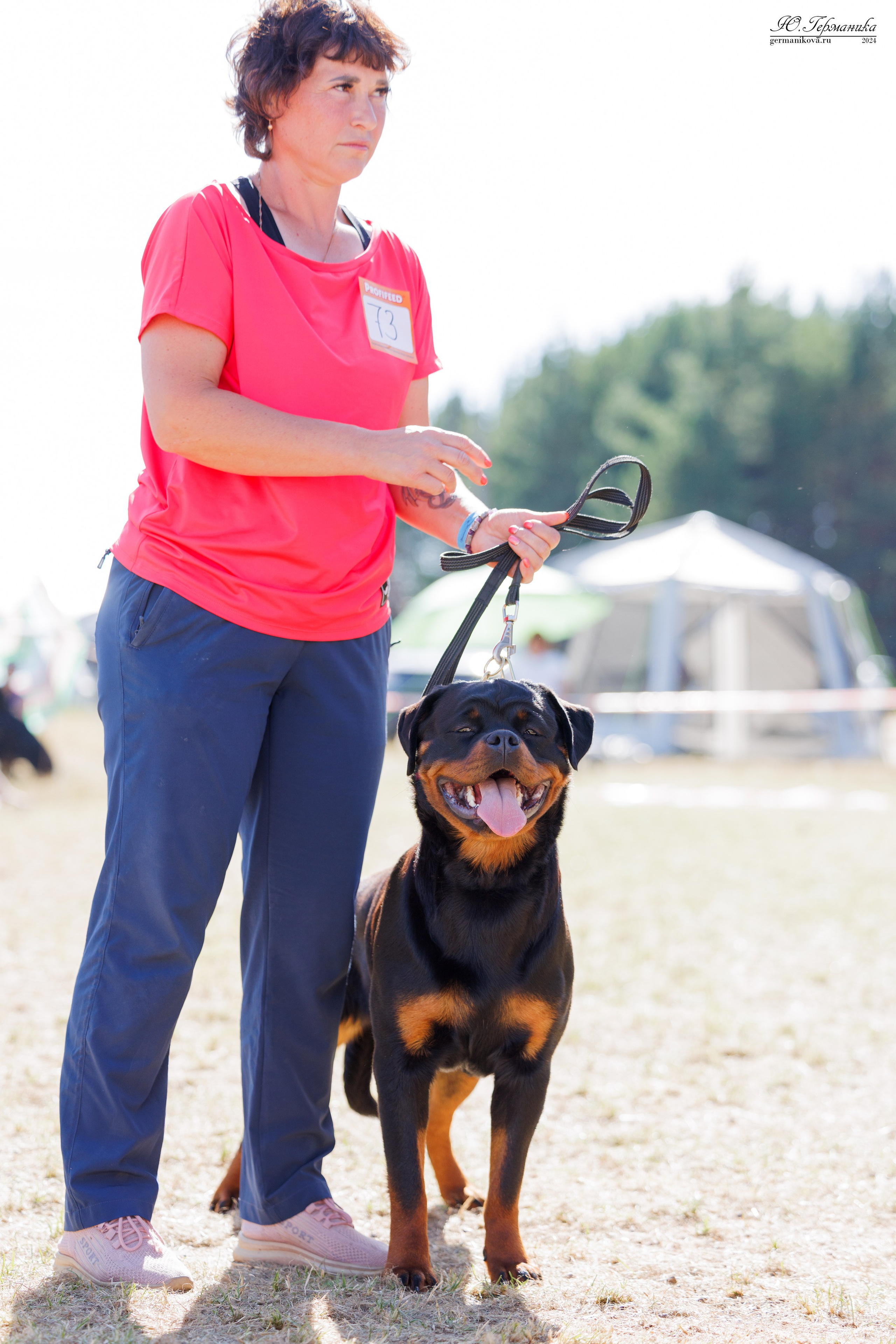 ПК и КЧК ротвейлеры Тверь 6-7.07.2024. Фотограф-анималист Юлия Германика