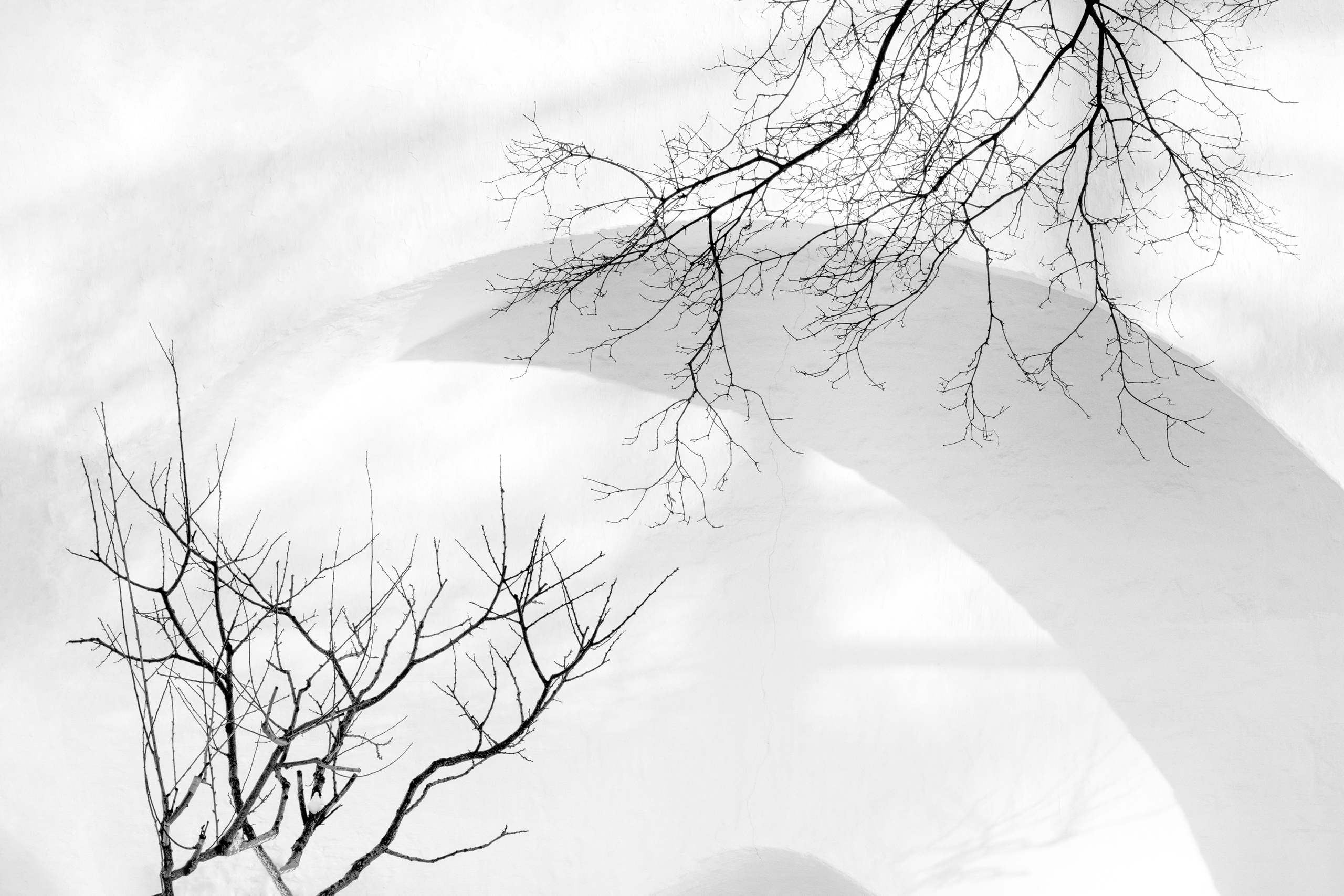 Фотограф Ольга Дунаева