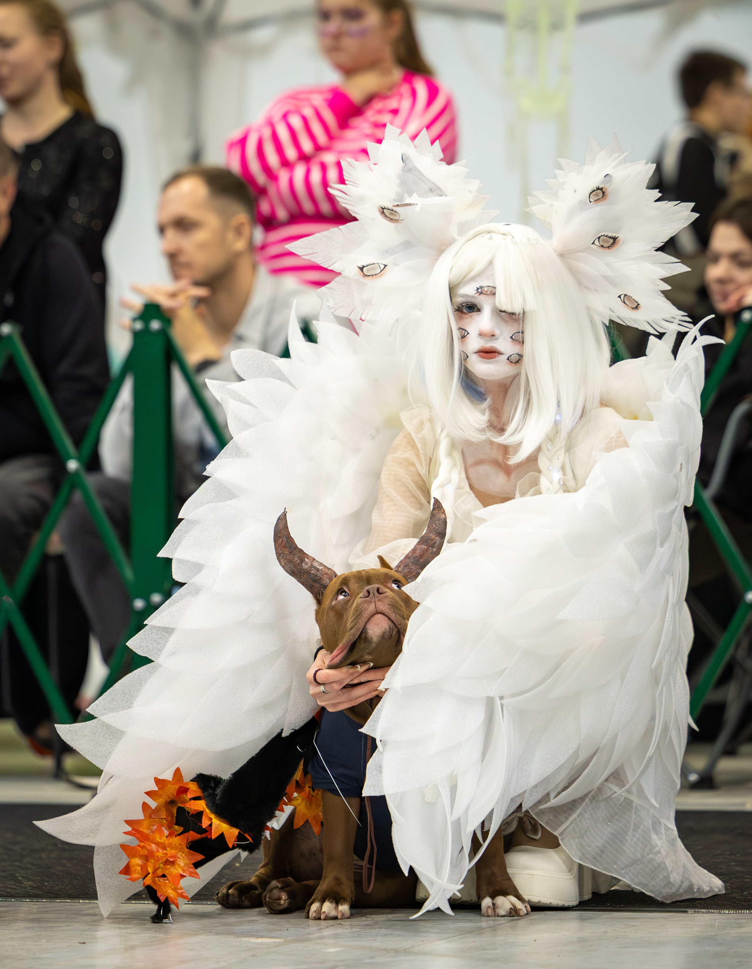 АВКС. Виктория Михайловская. Фотограф-анималист. Москва