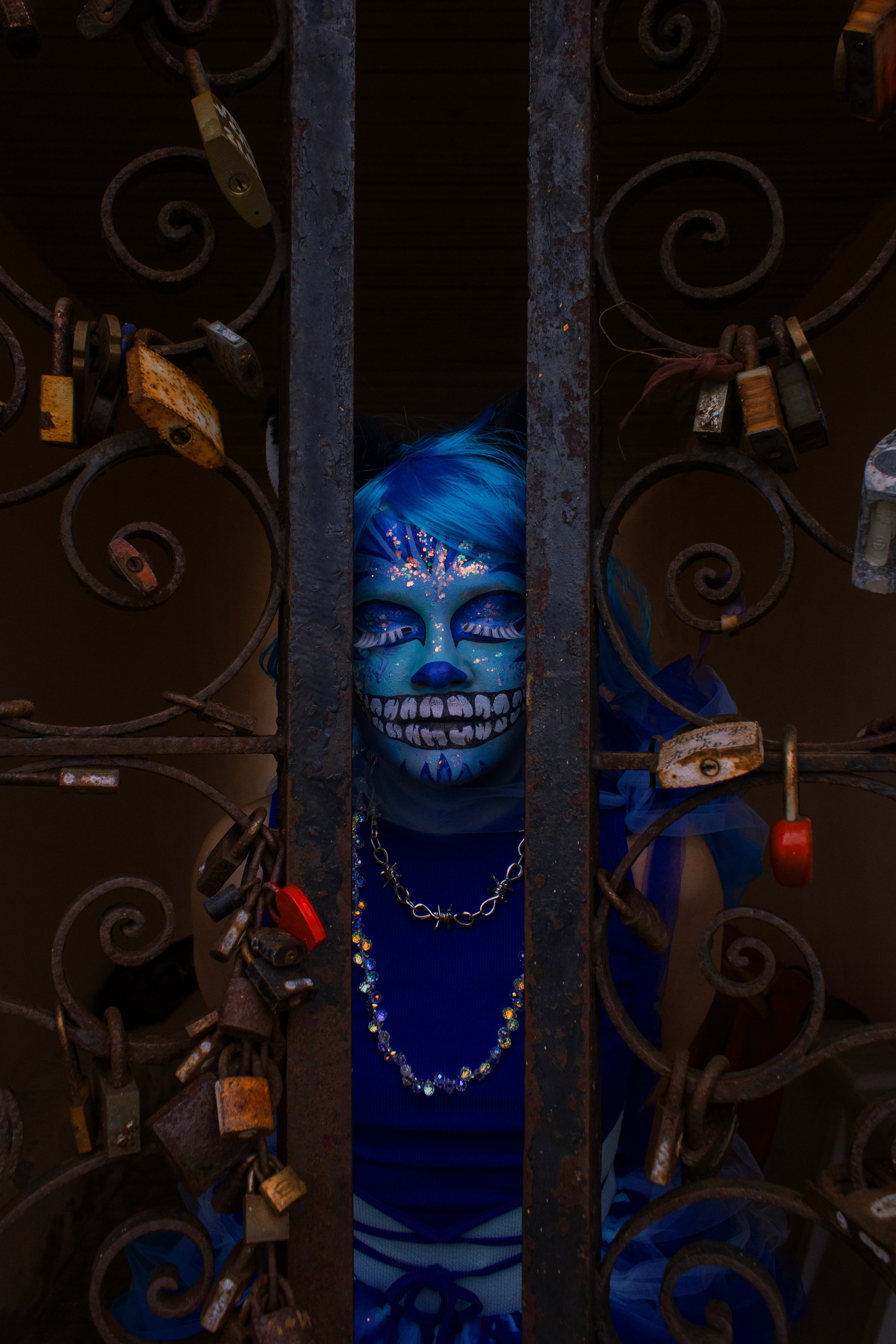 Встречайте: чеширская кошечка