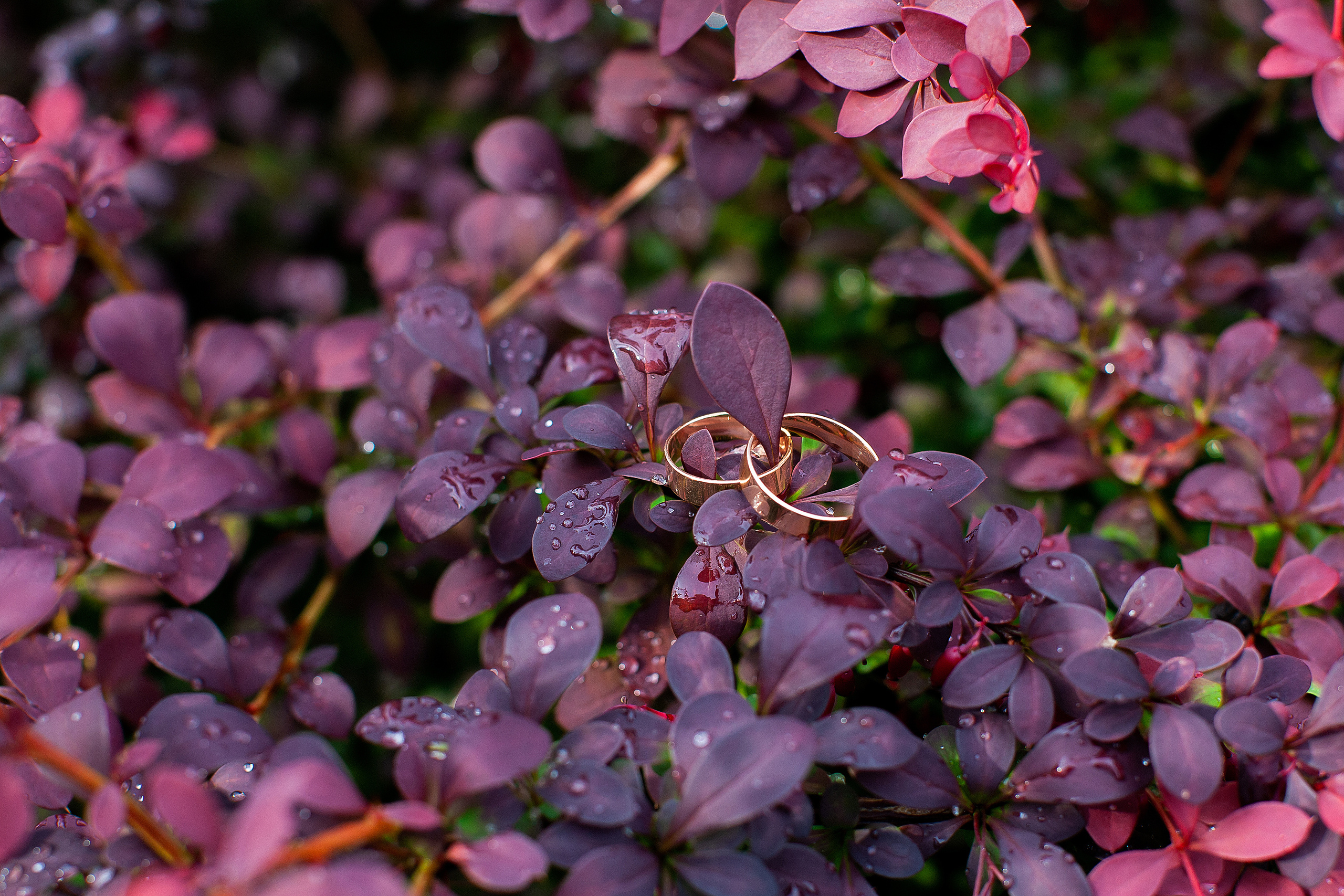 Свадебная сьемка на колонне. Олег Сверчков | Свадебный фотограф Вологда