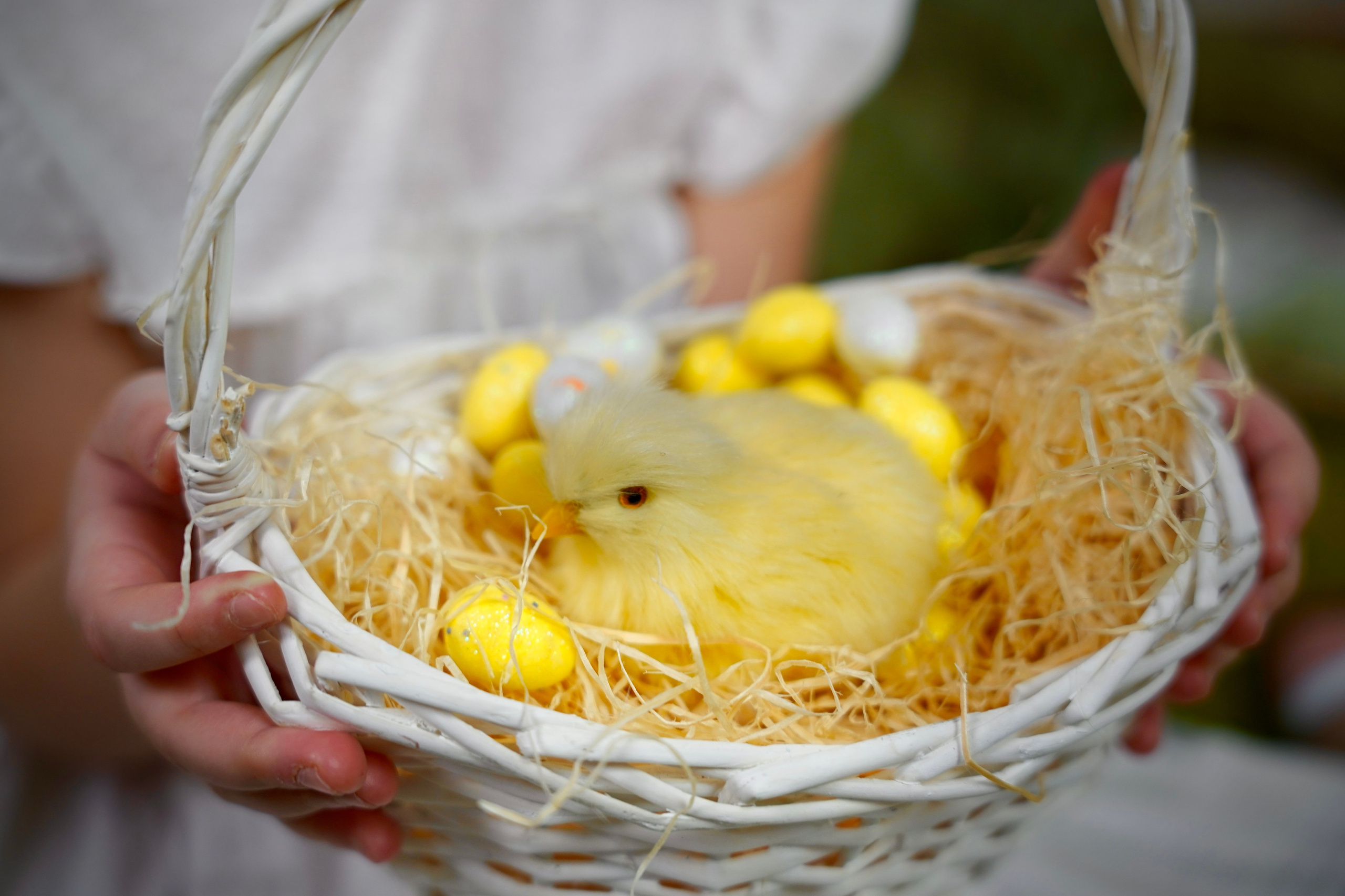 Весенний-Пасхальный 2025 № 1. Семейный и детский фотограф Александра Гвоздикова