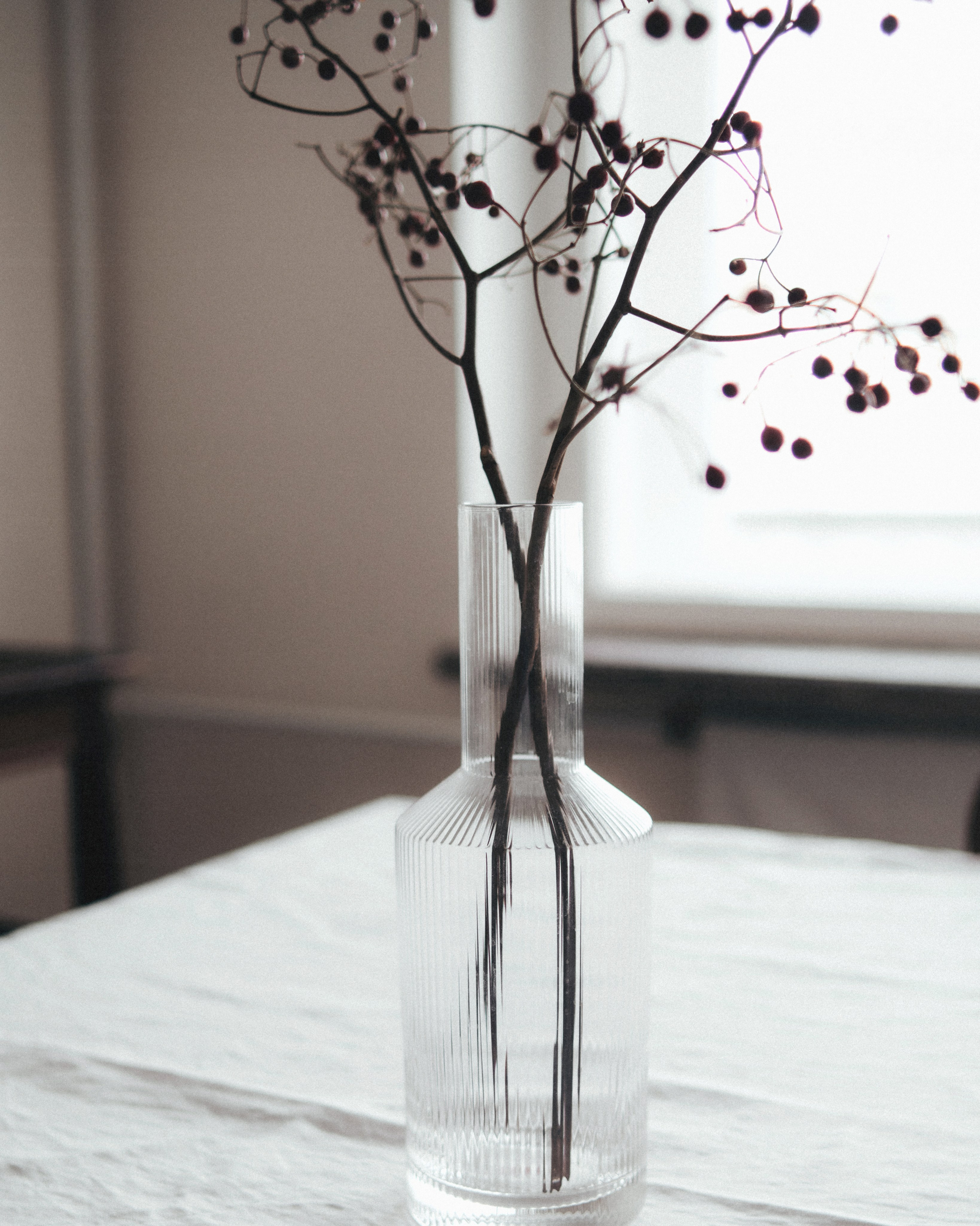 Азалия. SHILOVA PHOTO. Шилова Екатерина. Фотограф. Москва