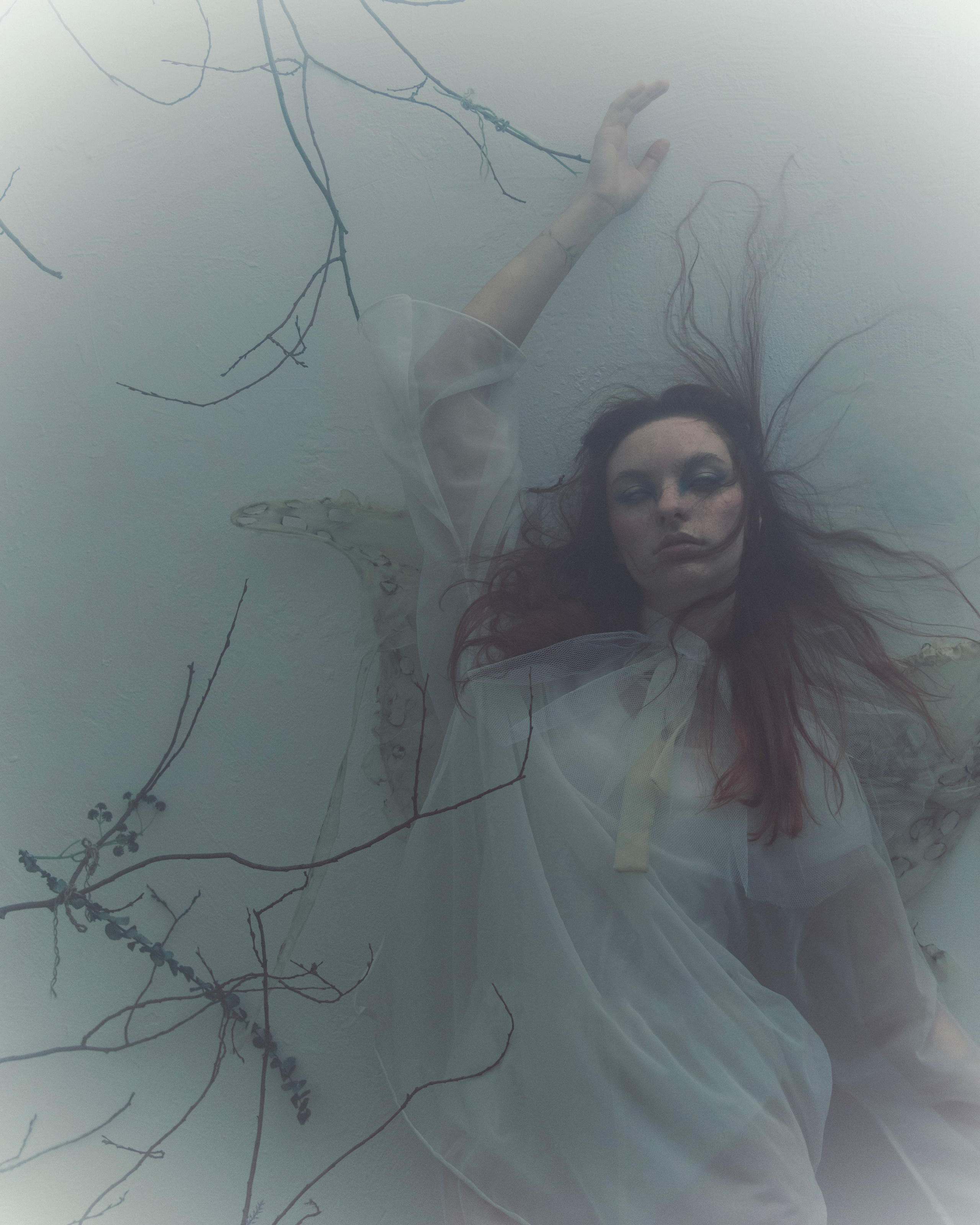 Мотылек. Фотограф Anita Mivchas