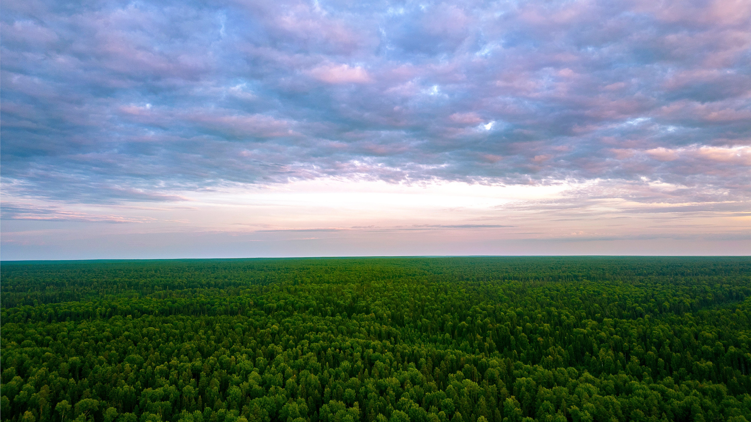 Закат над тайгой. Республика Коми, нацпарк "Койгородский".