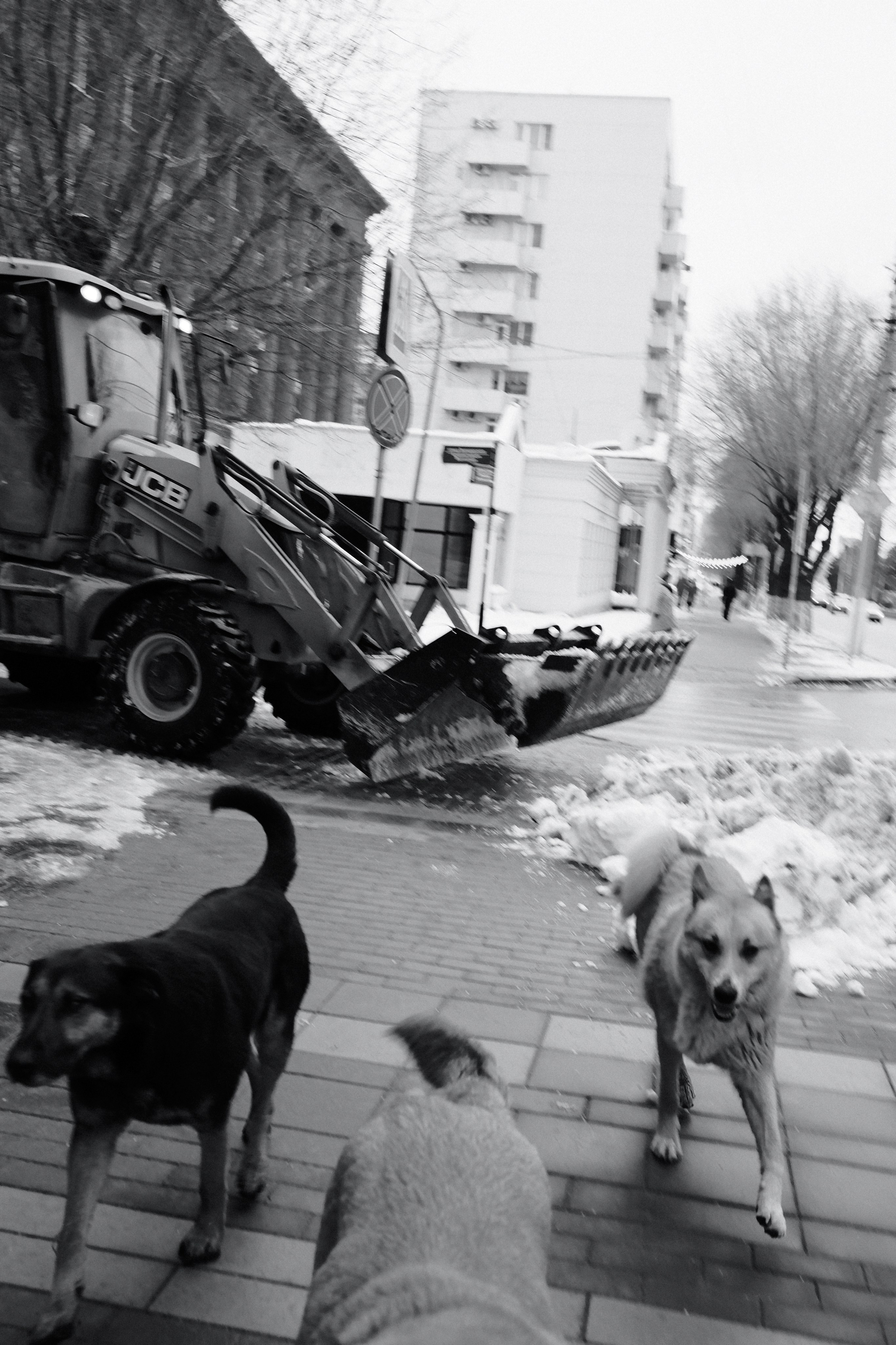 2022. Евгений Холодок