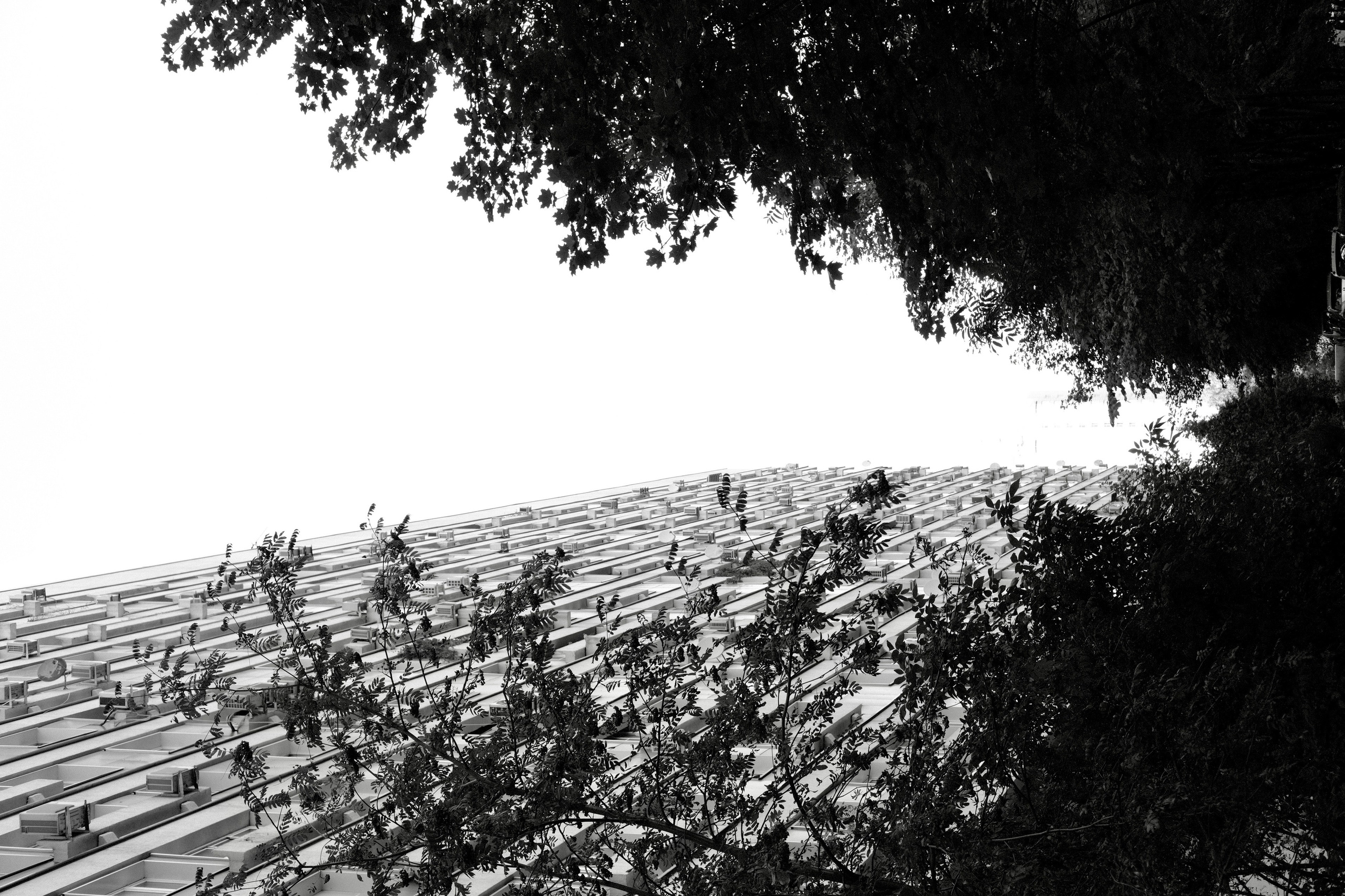 Крылатское. Фотограф Маргана Лоция