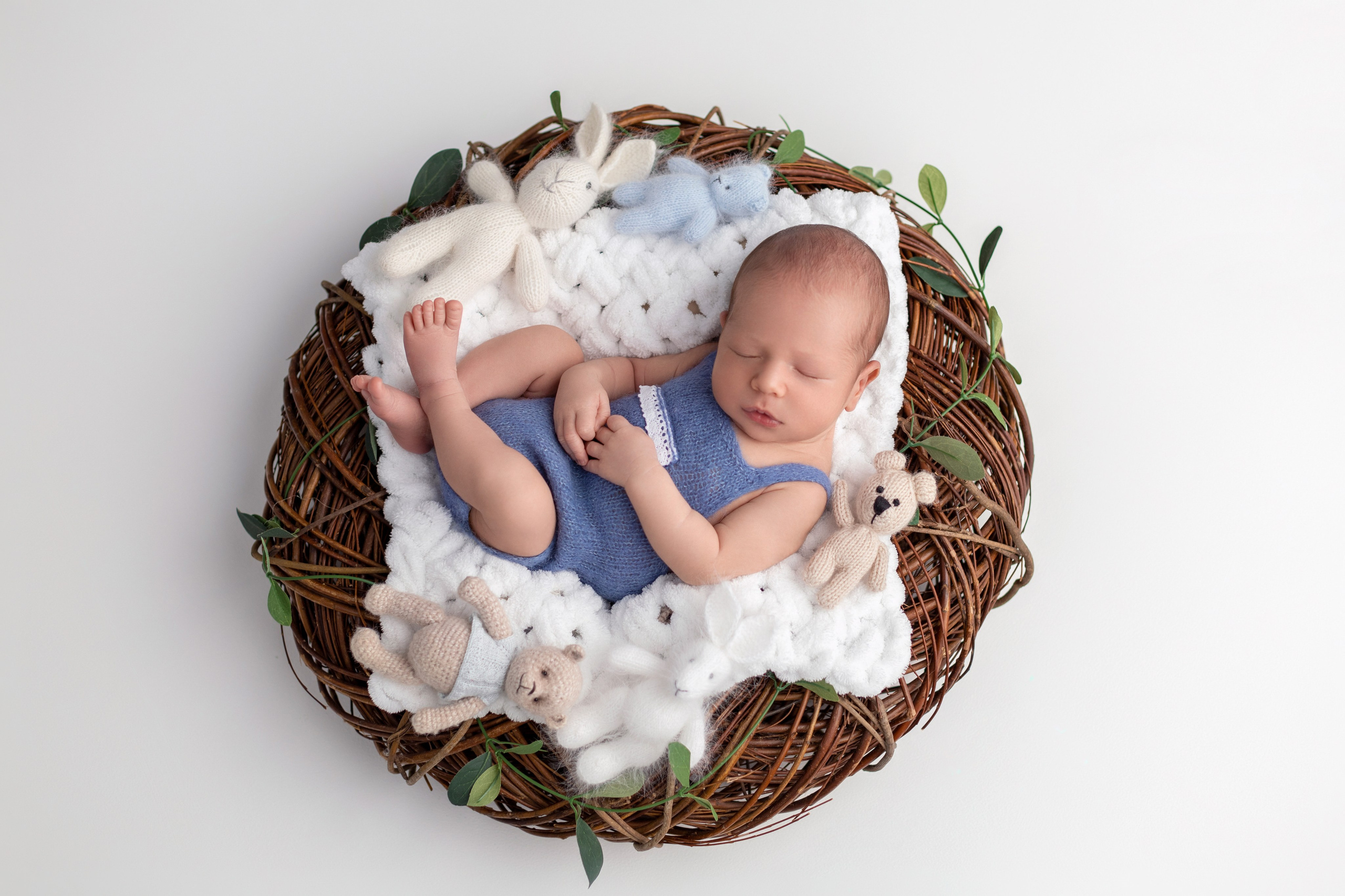 Александр, 8 дней. Фотограф новорожденных в Нижнем Новгороде Надежда Кадылкина